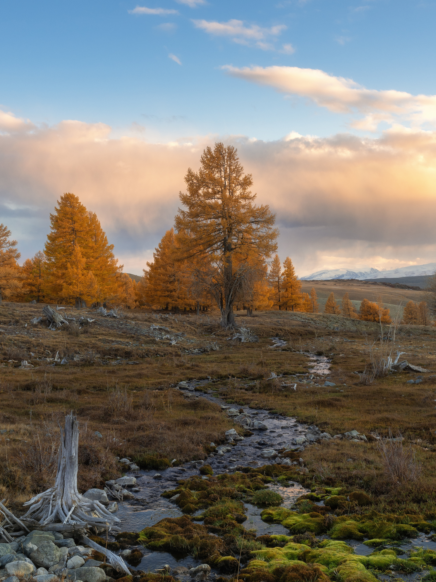 , Мозжухин Максим