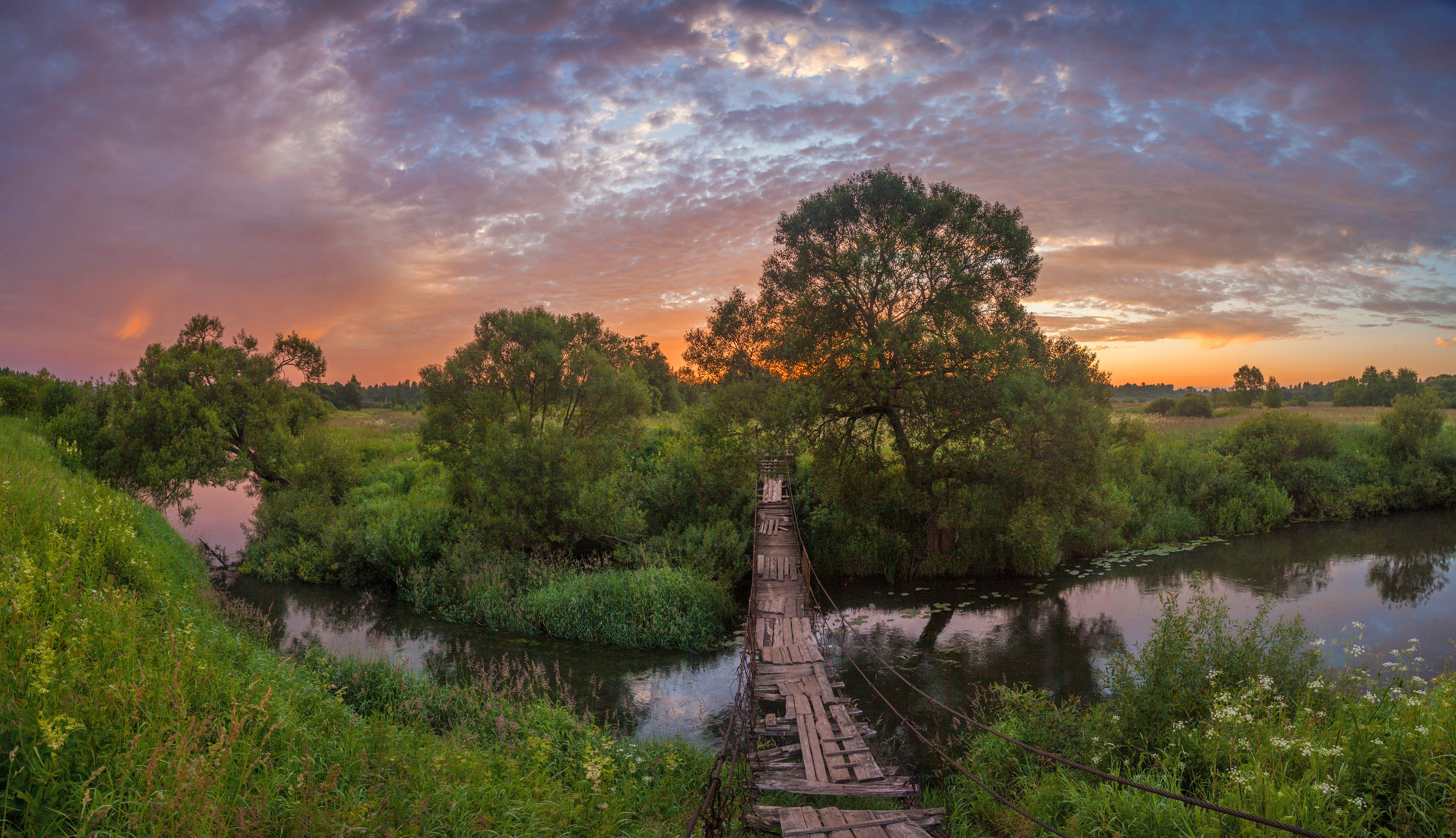 мостик, река, рассвет , облака, лес , поле, лето, Свистков Александр