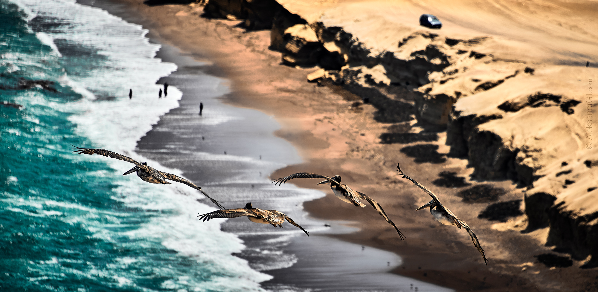 , Гиль Александр