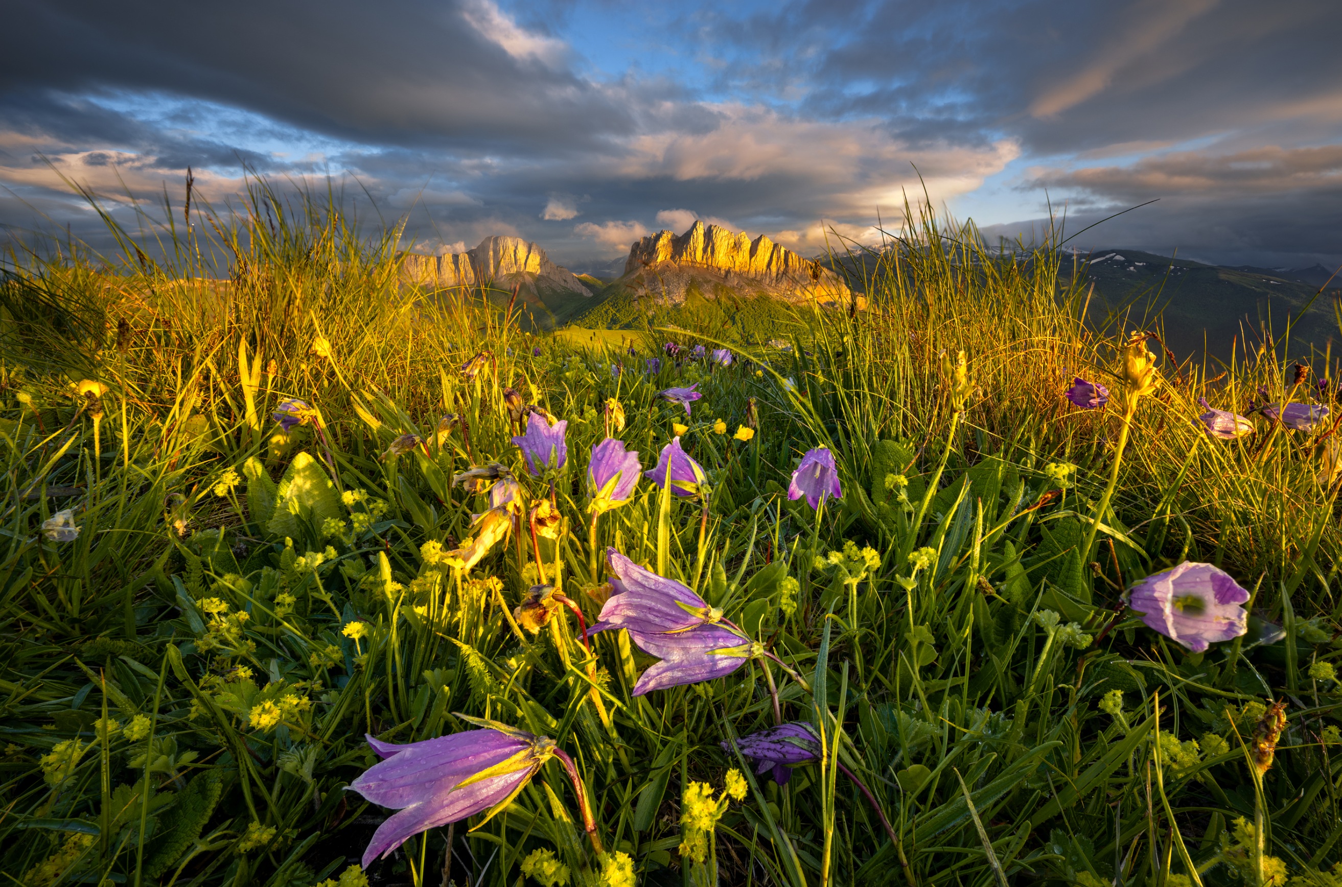 , Ширгин Сергей