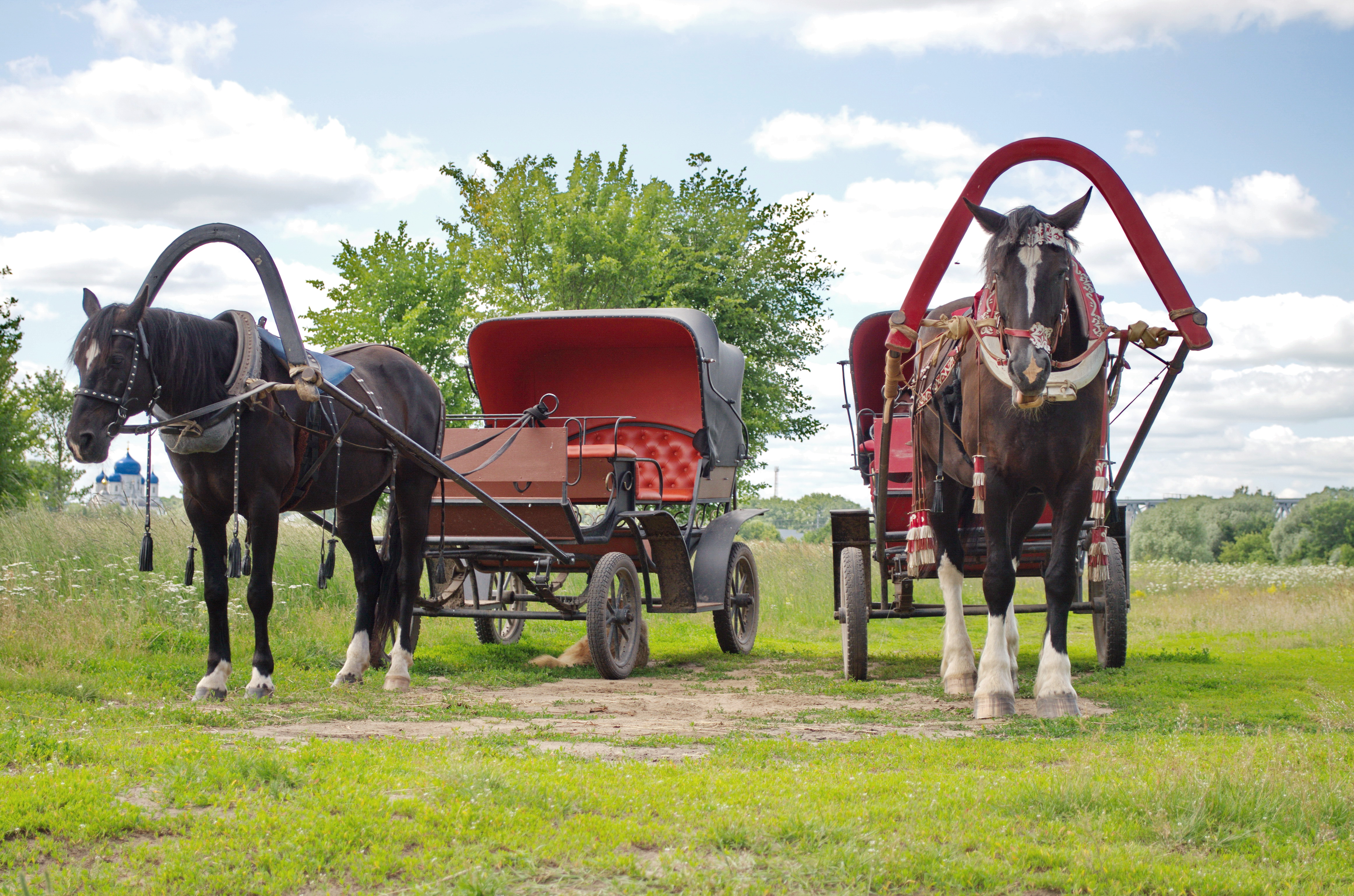 , Сергей Клапишевский