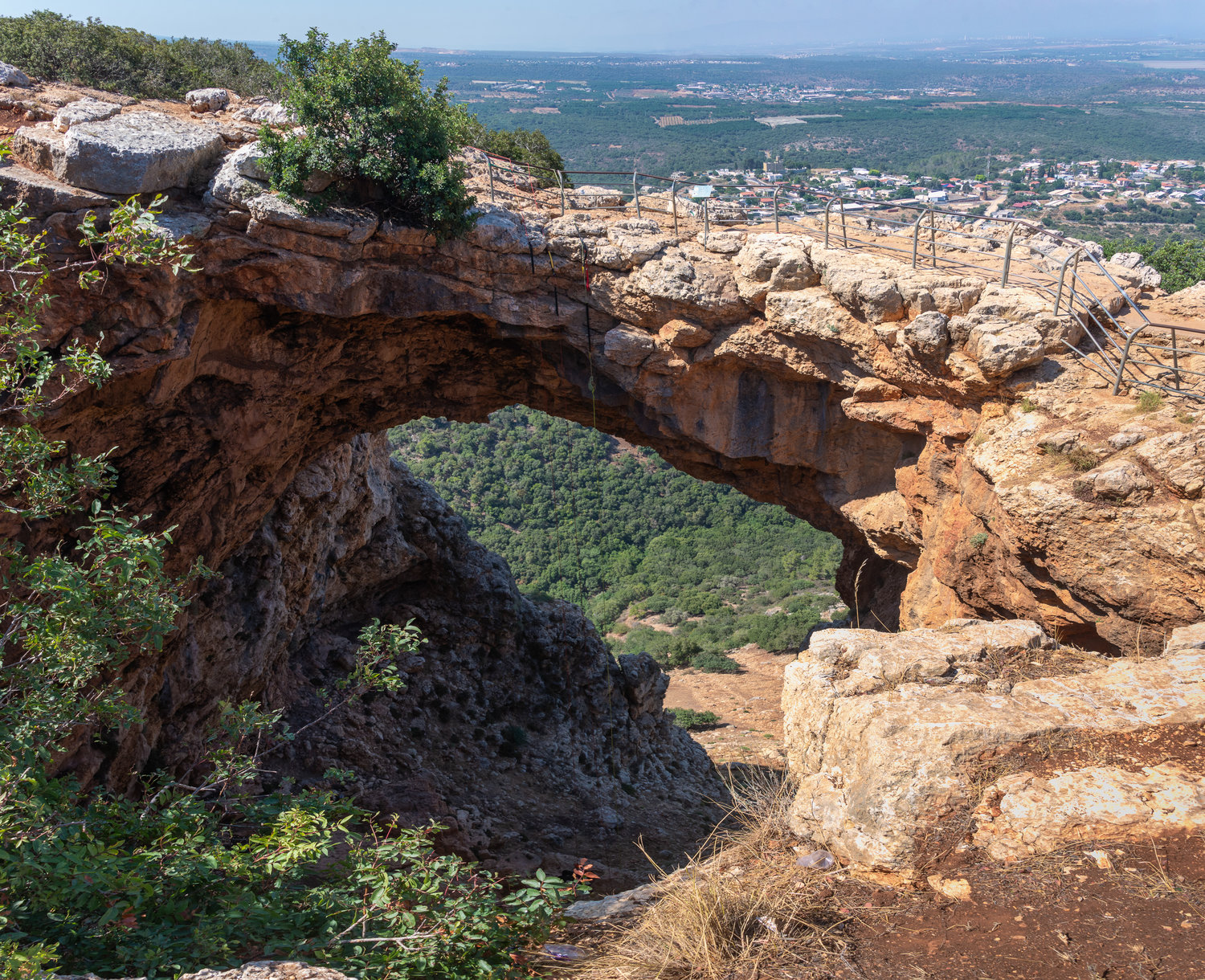 , Vladimir Bragilevsky