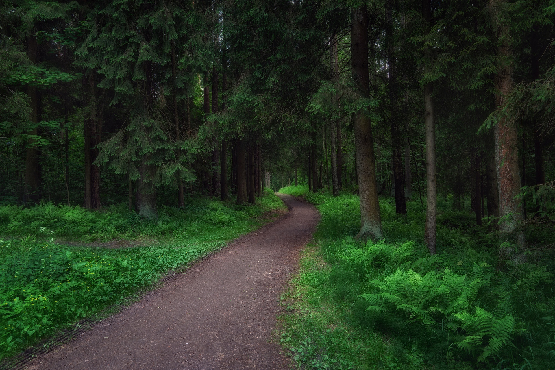 павловский парк, Васин Сергей