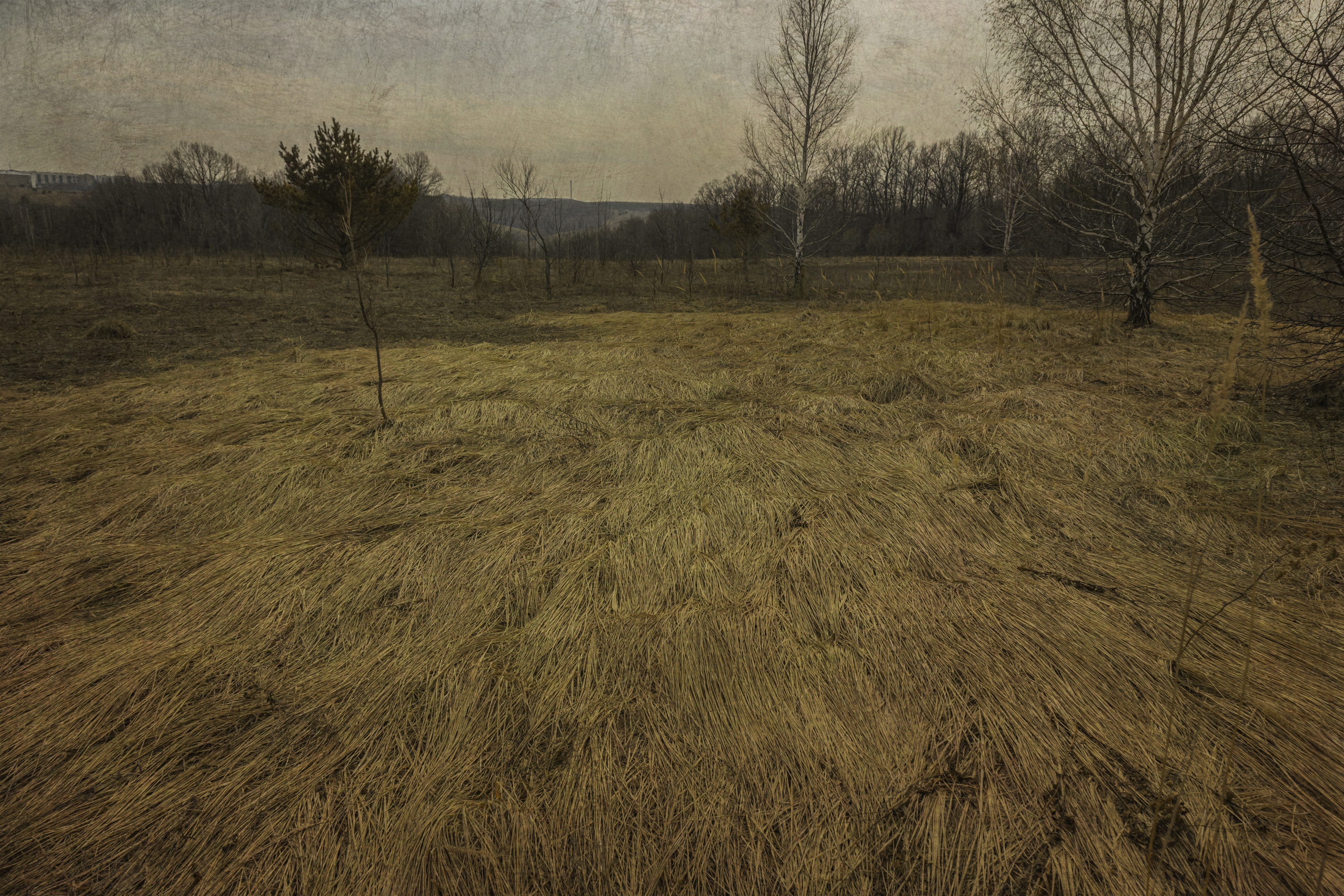 , Сагдиева Эльвира