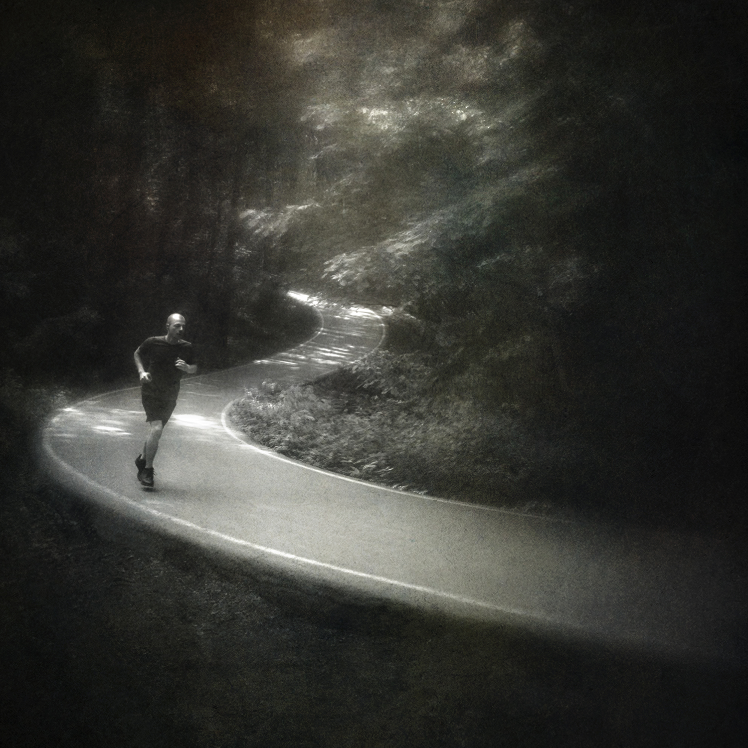 чб, лес, бег, Сергей Кот