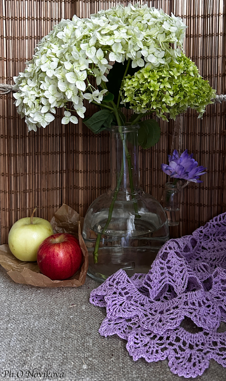 , Новикова Ольга