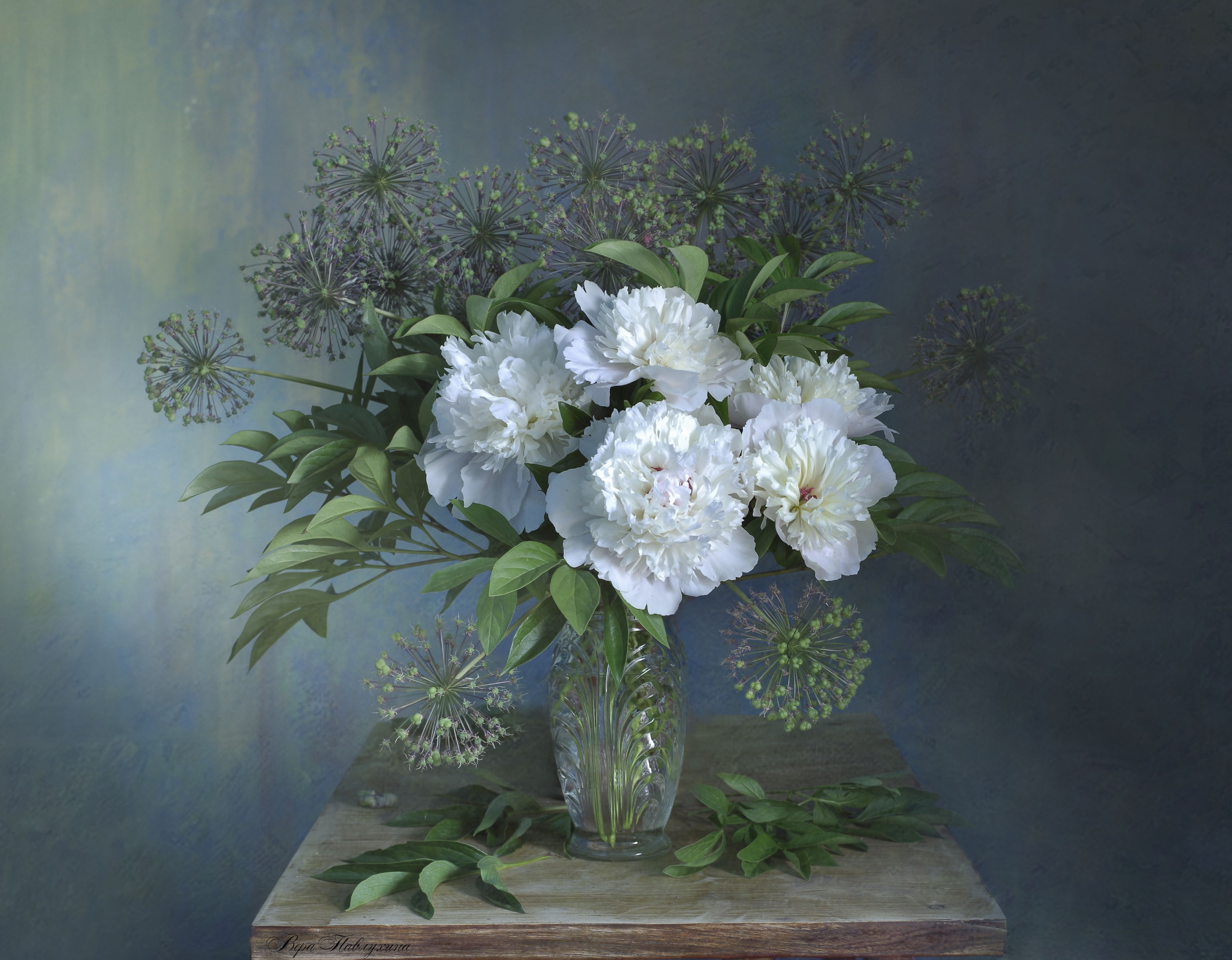 натюрморт, цветы, вера павлухина, пионы , белые, Вера  Павлухина