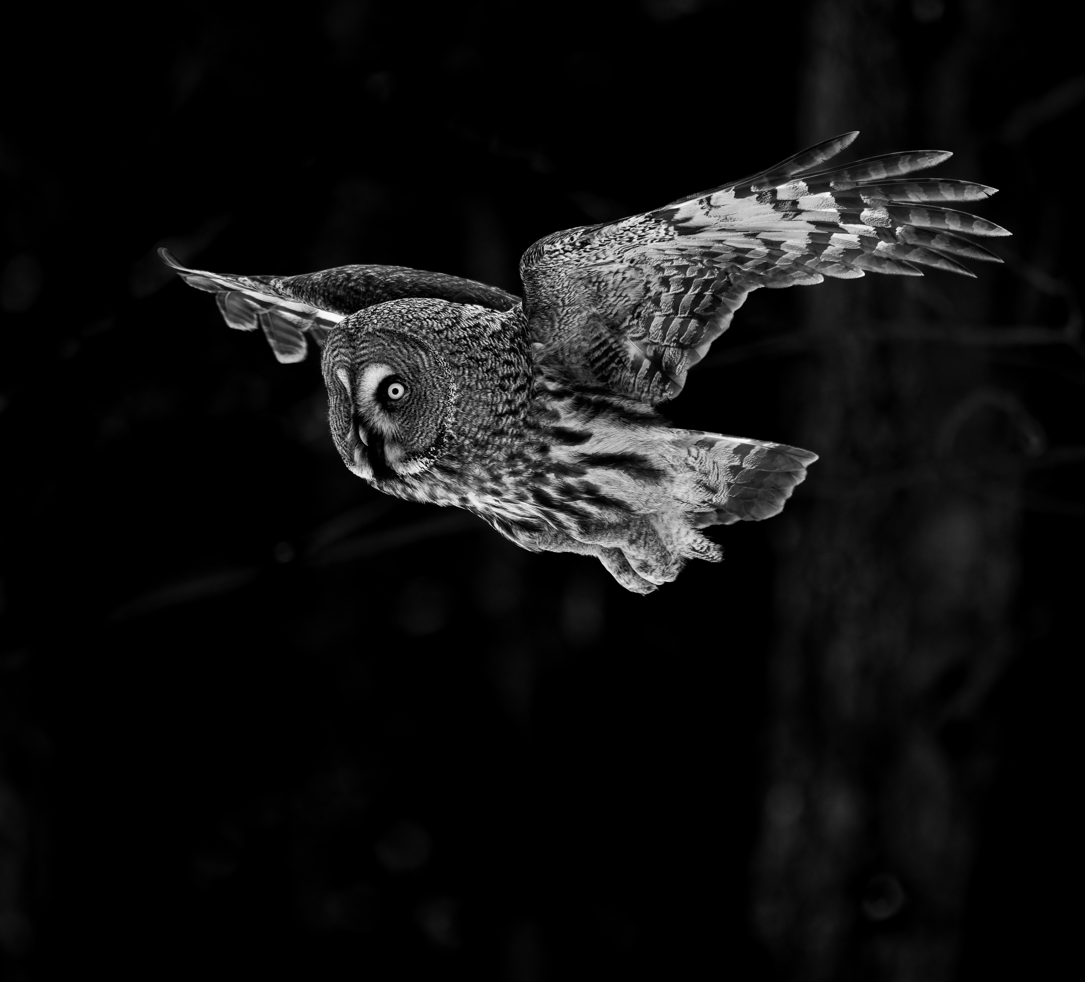 , Фото Александр