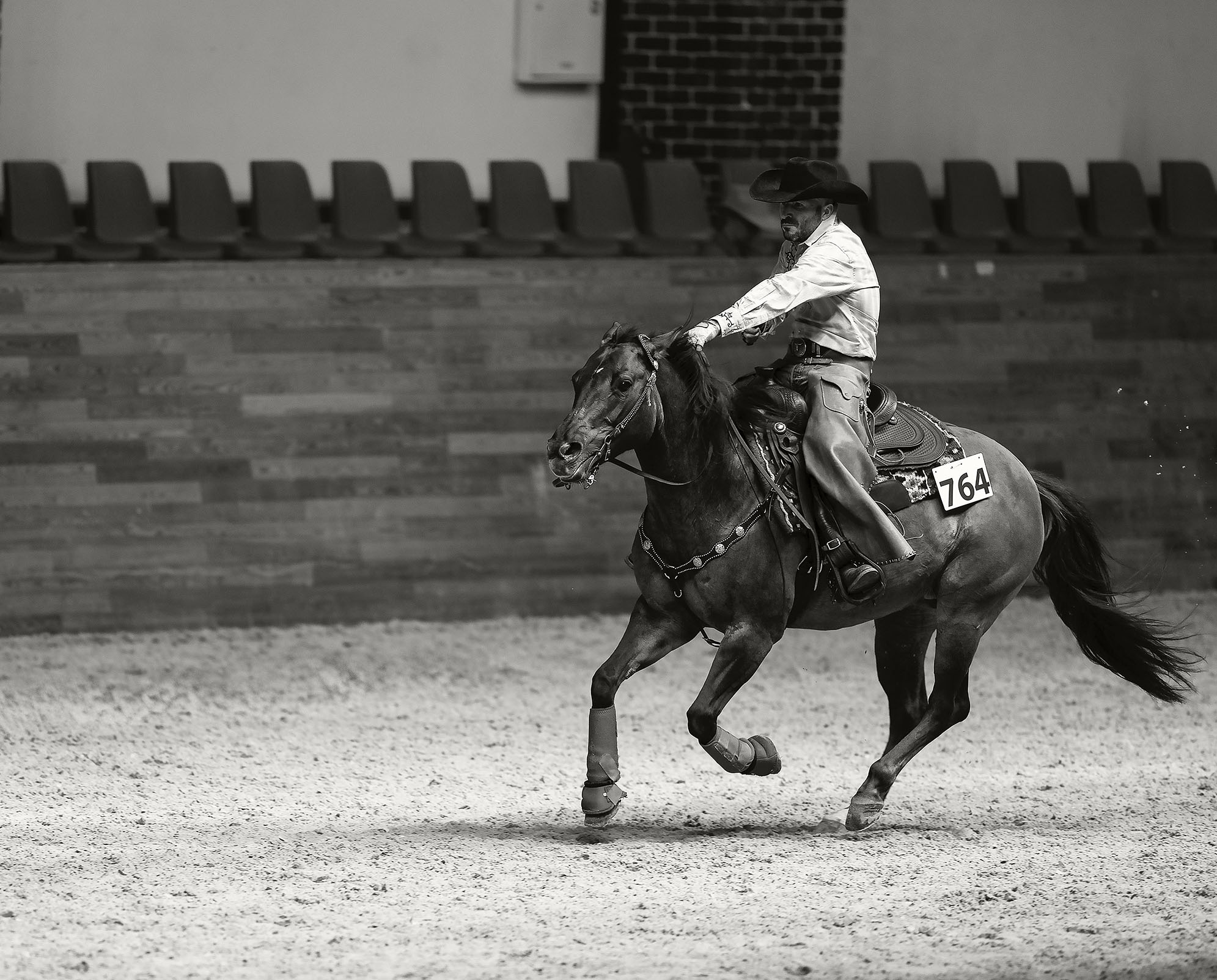 соревнования,вестерн,спорт,репортаж ,horse, competition,movement ,sport, Стукалова Юлия