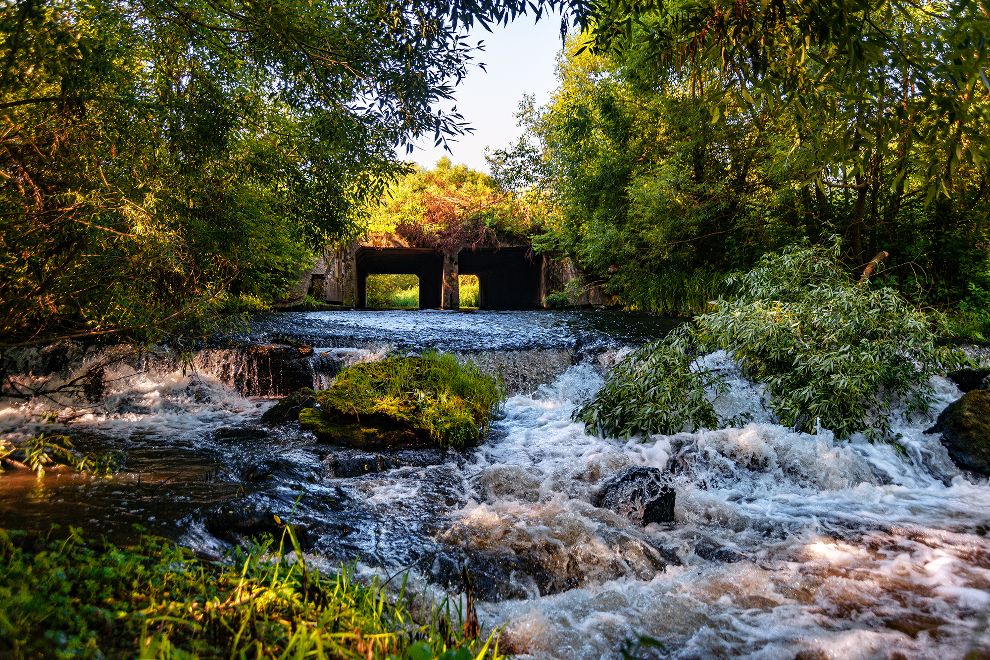 , Владимир Ноздрачев