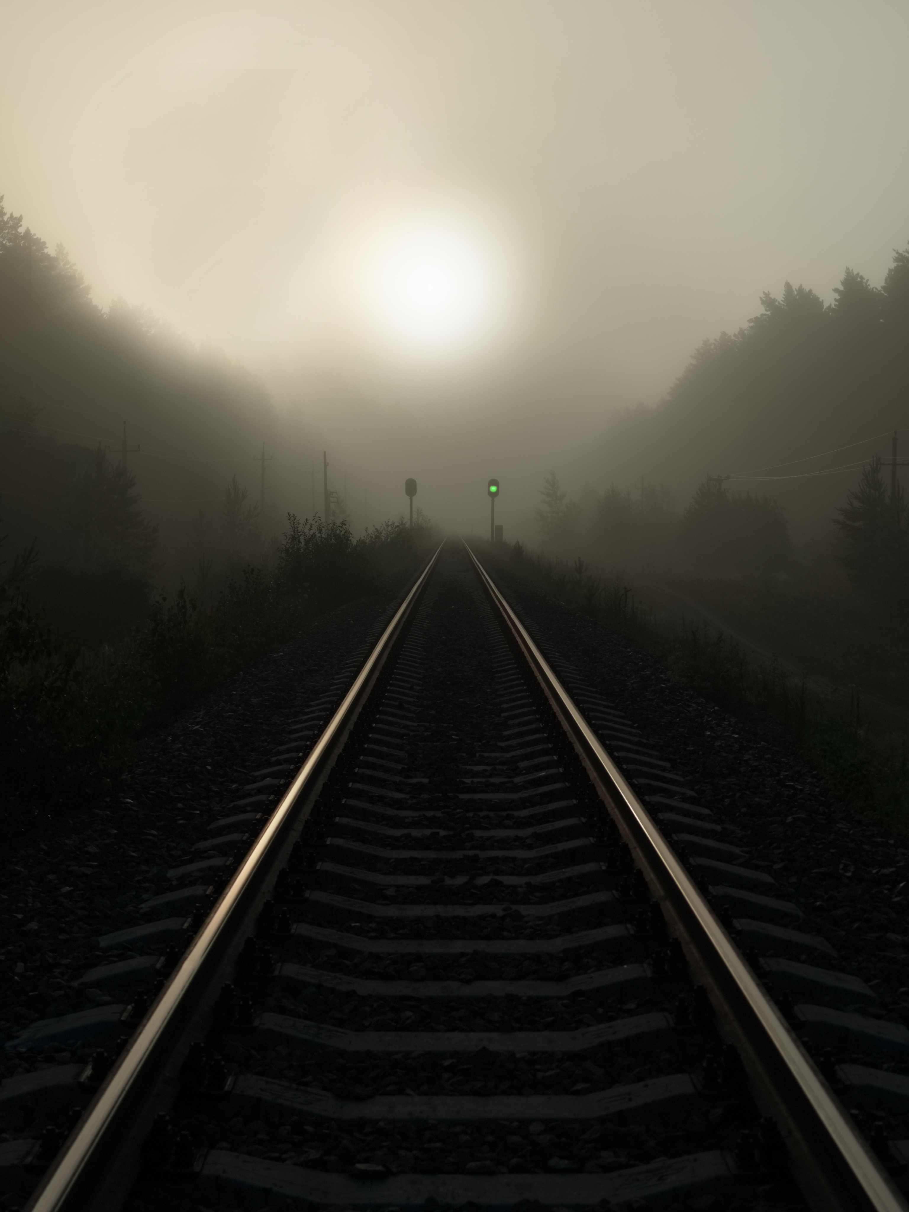 , Кузнецов Дмитрий