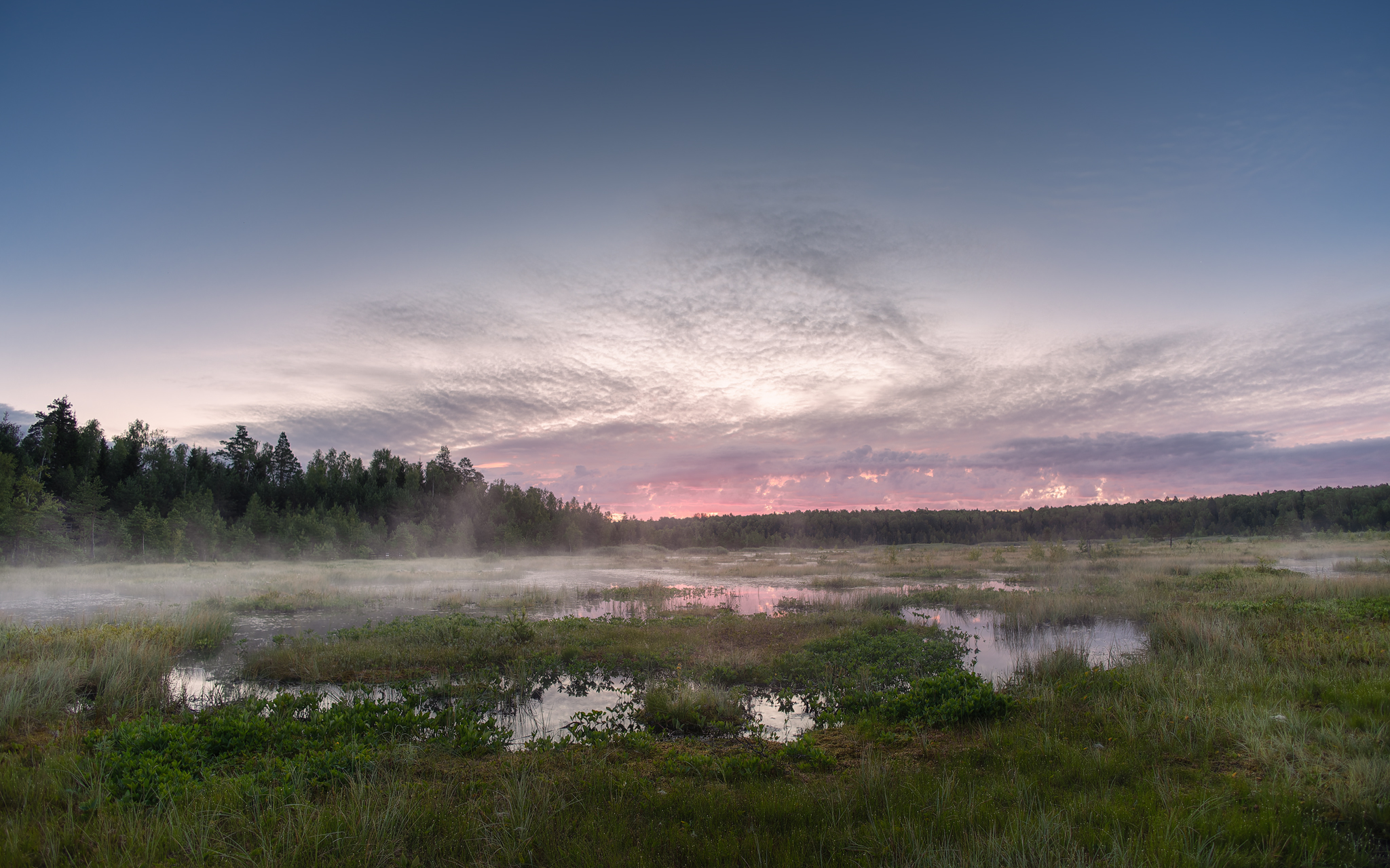 , Загруев Михаил