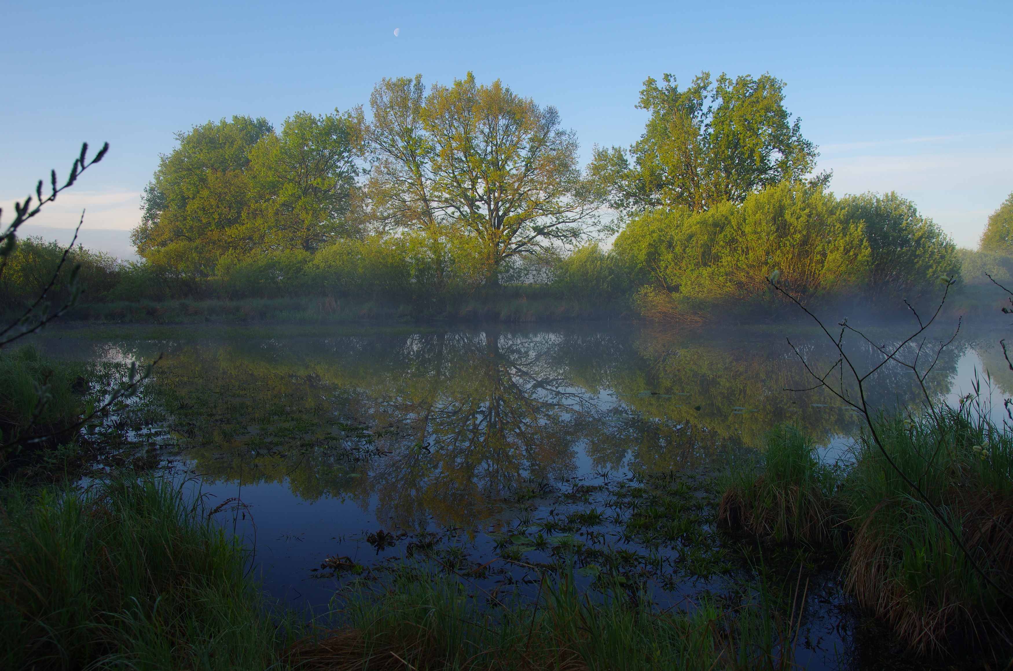 , Шляга Сергей