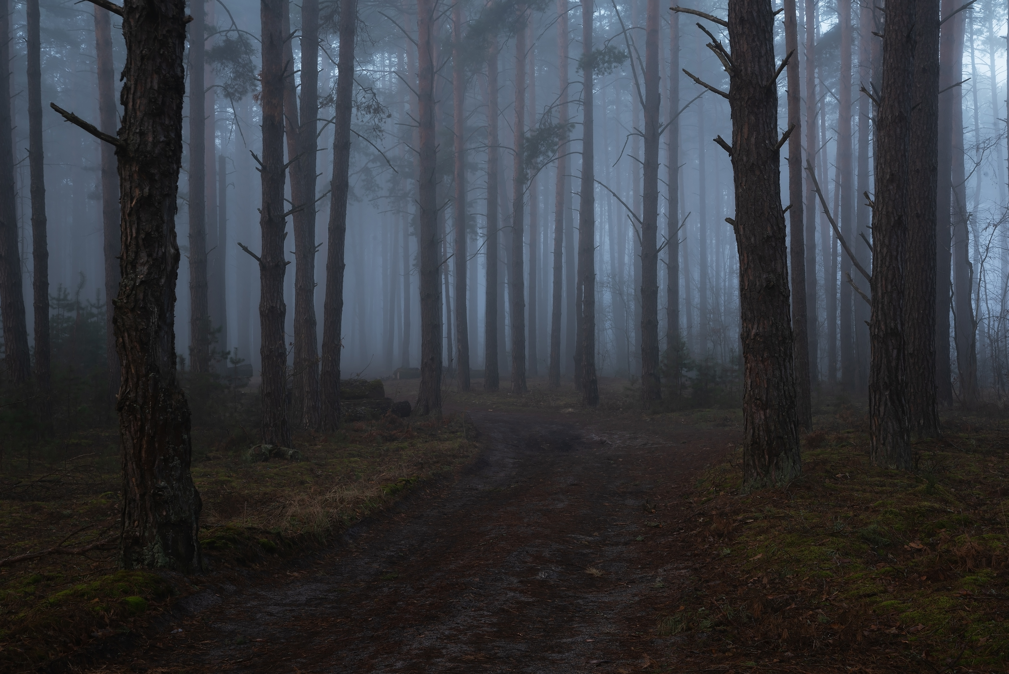 , Захаров Дмитрий