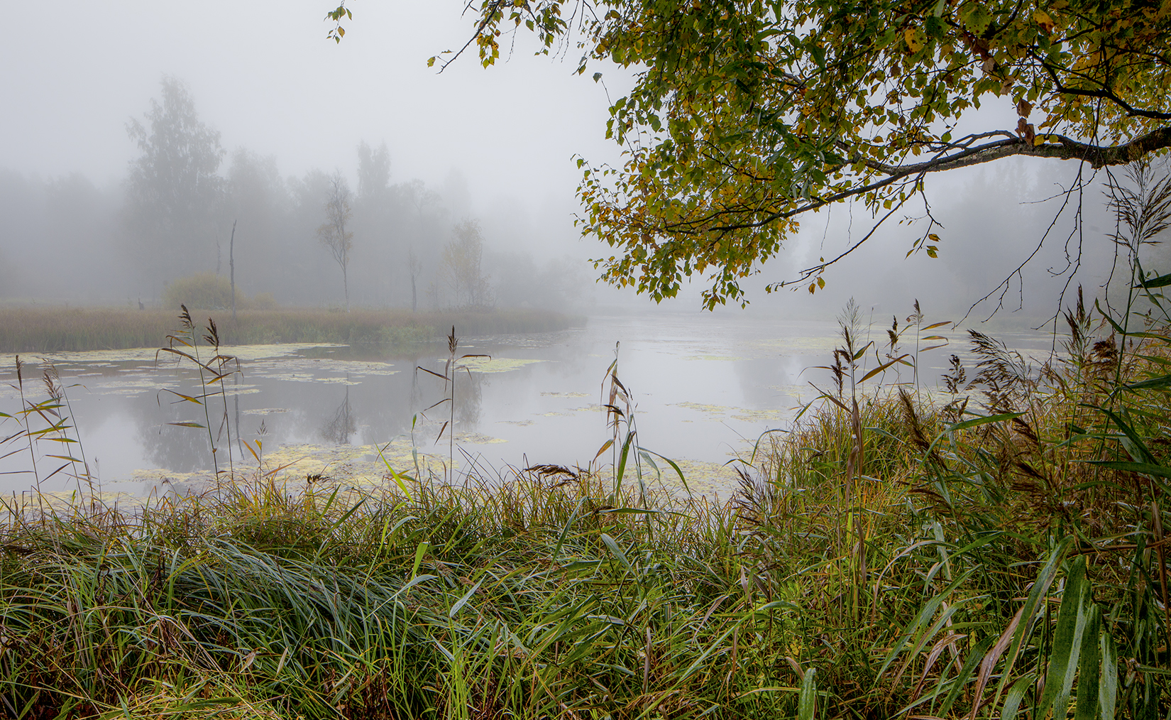 ,  александр михайлов