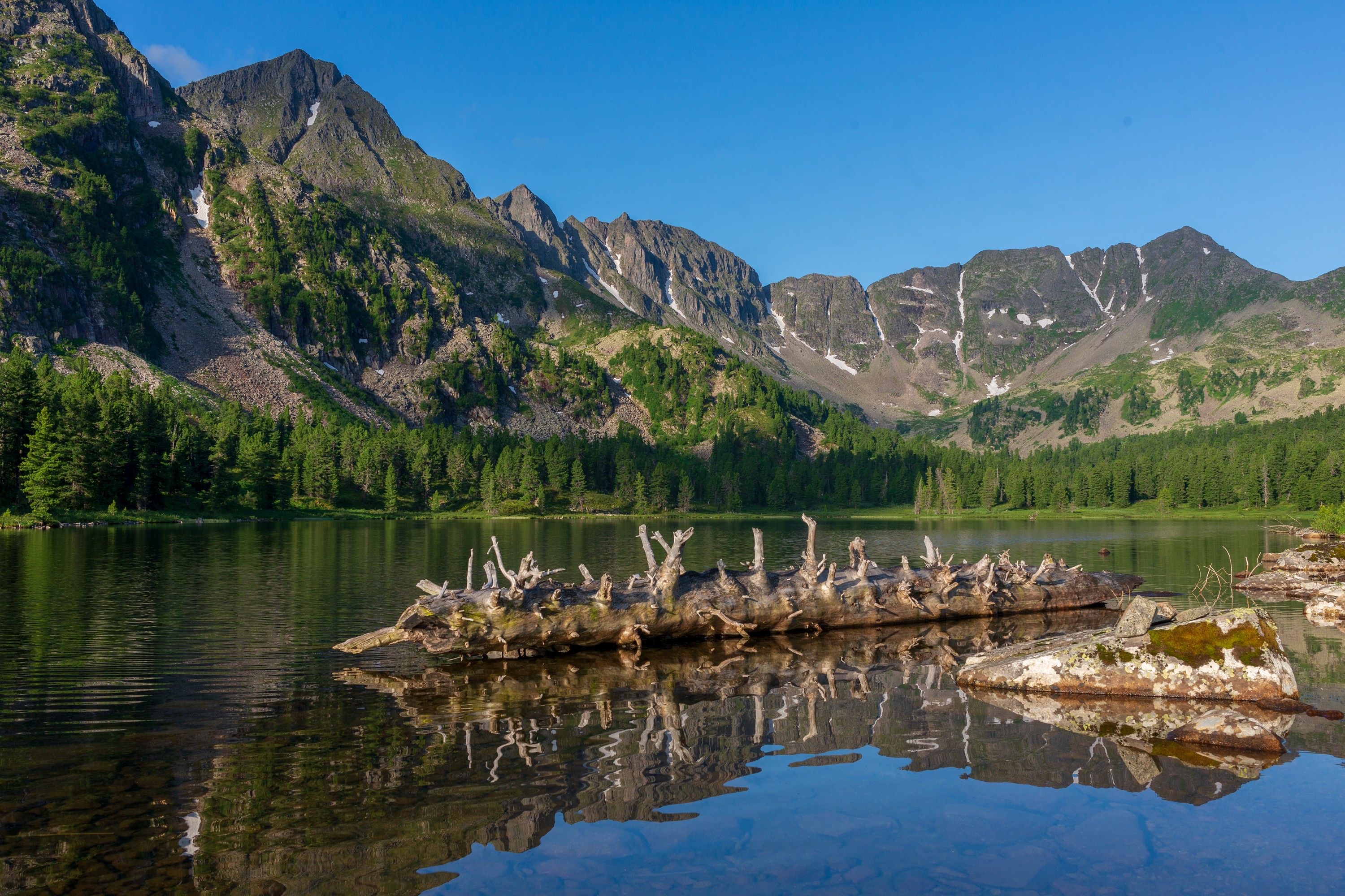 арадан, Беляев Юрий