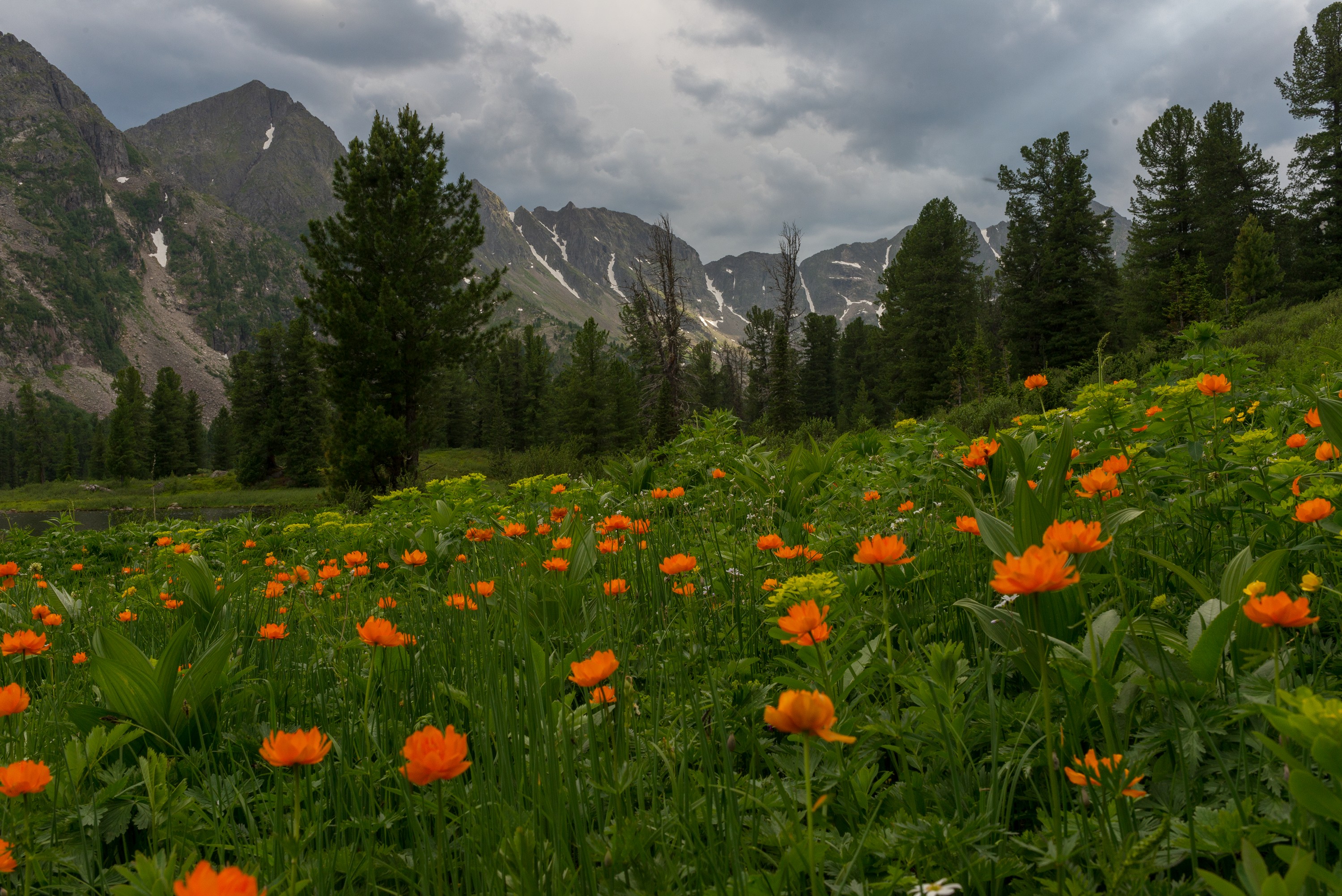 арадан, Беляев Юрий