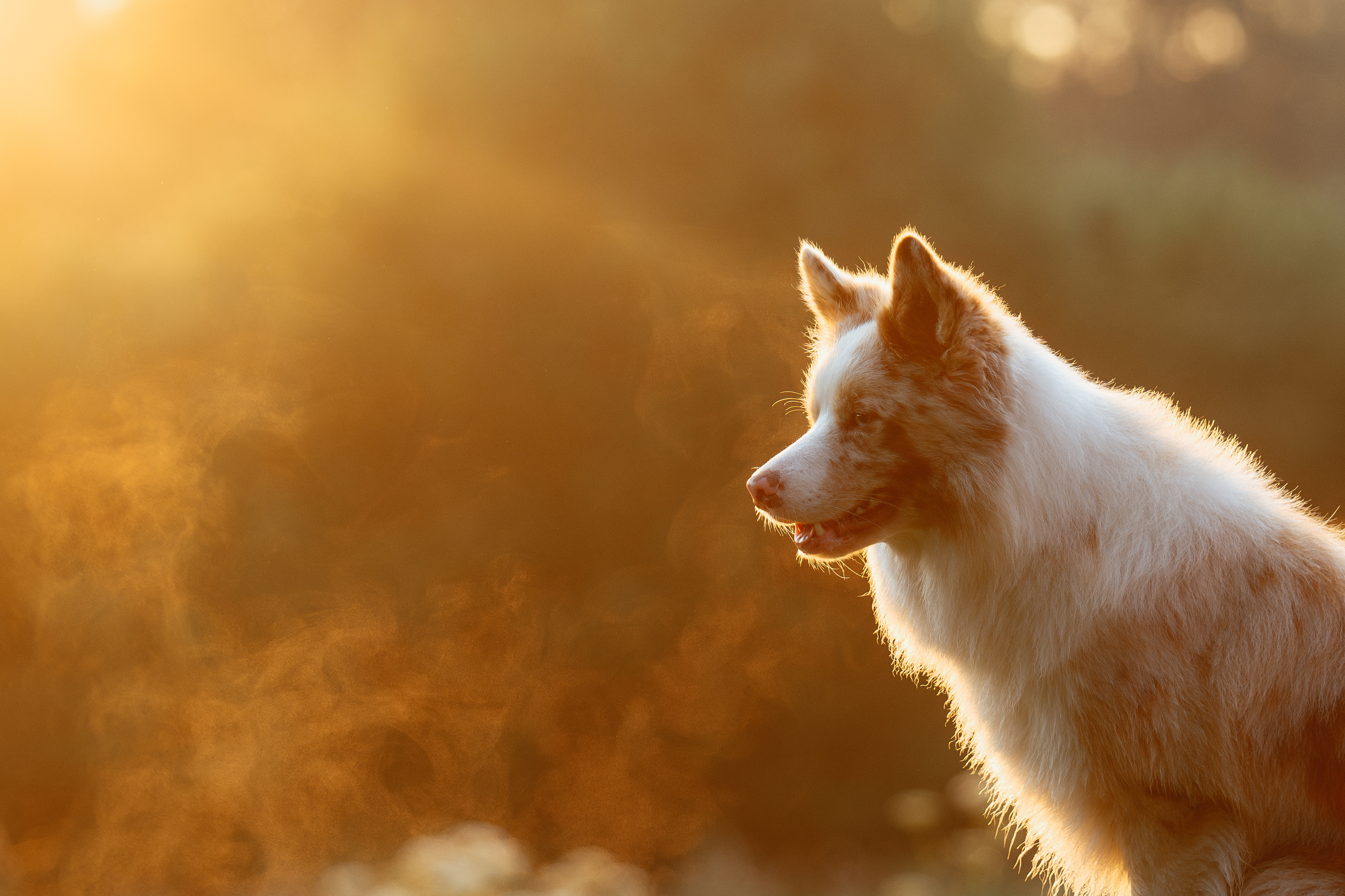 , Мороз Ирина