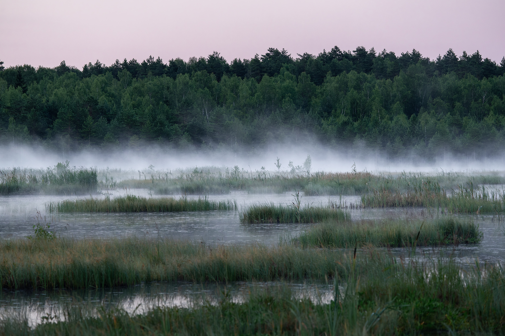 , Загруев Михаил