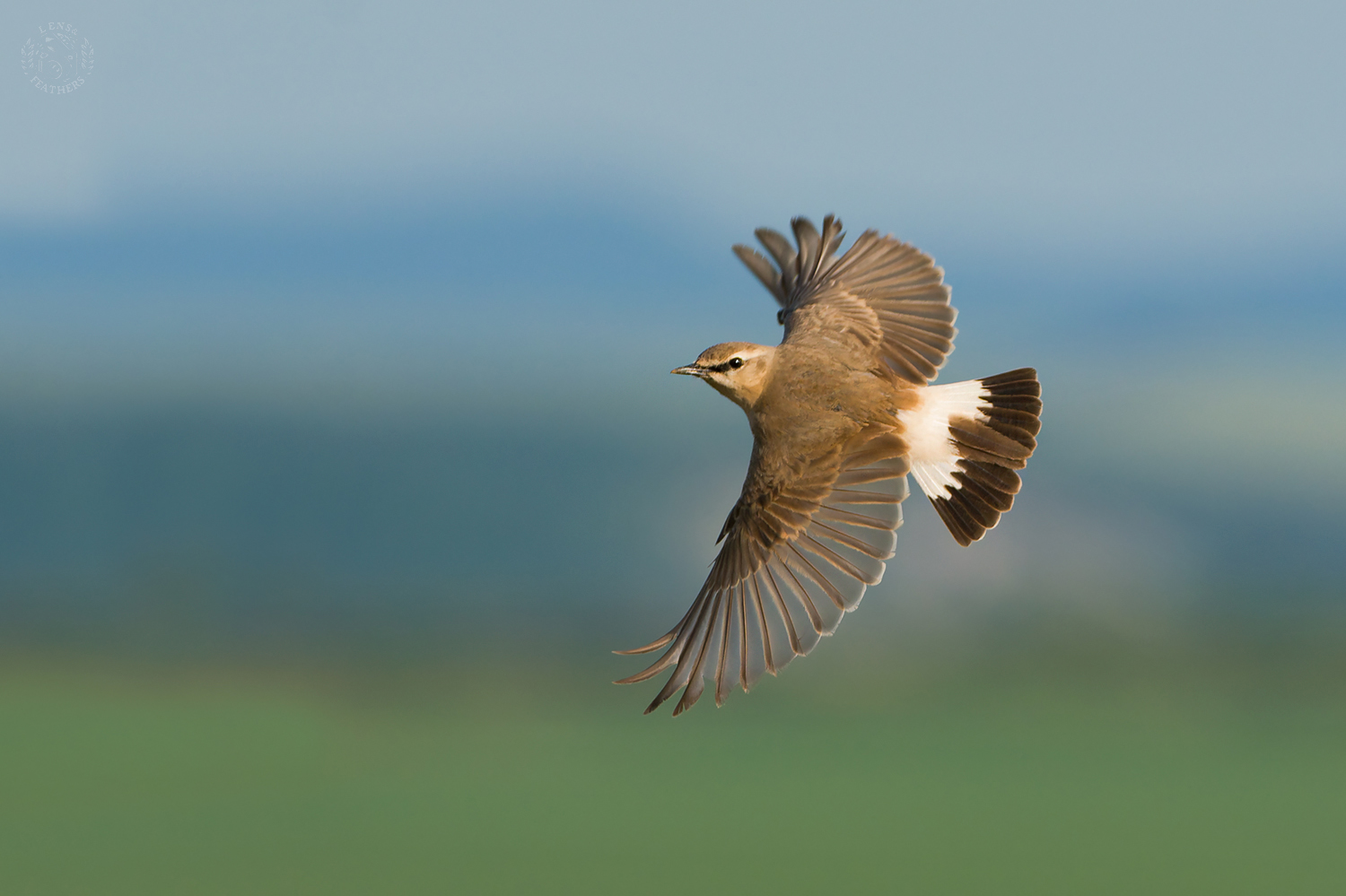 , Евгени Стефанов