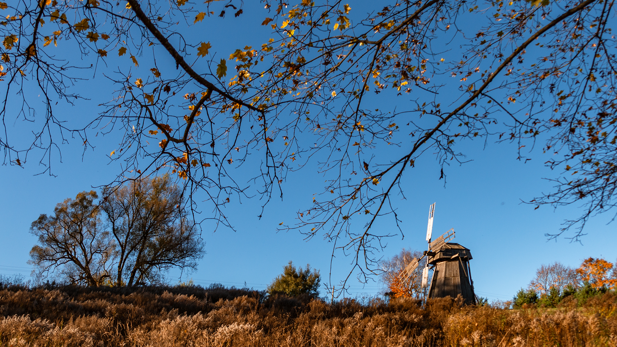 , Владимир Ноздрачев