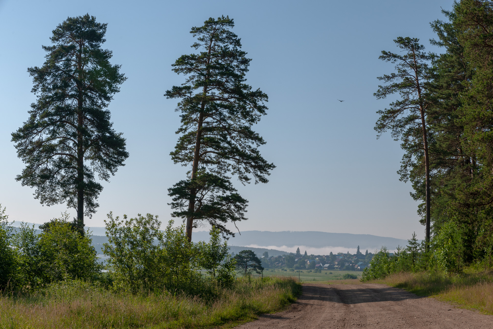 , Шустиков Дмитрий