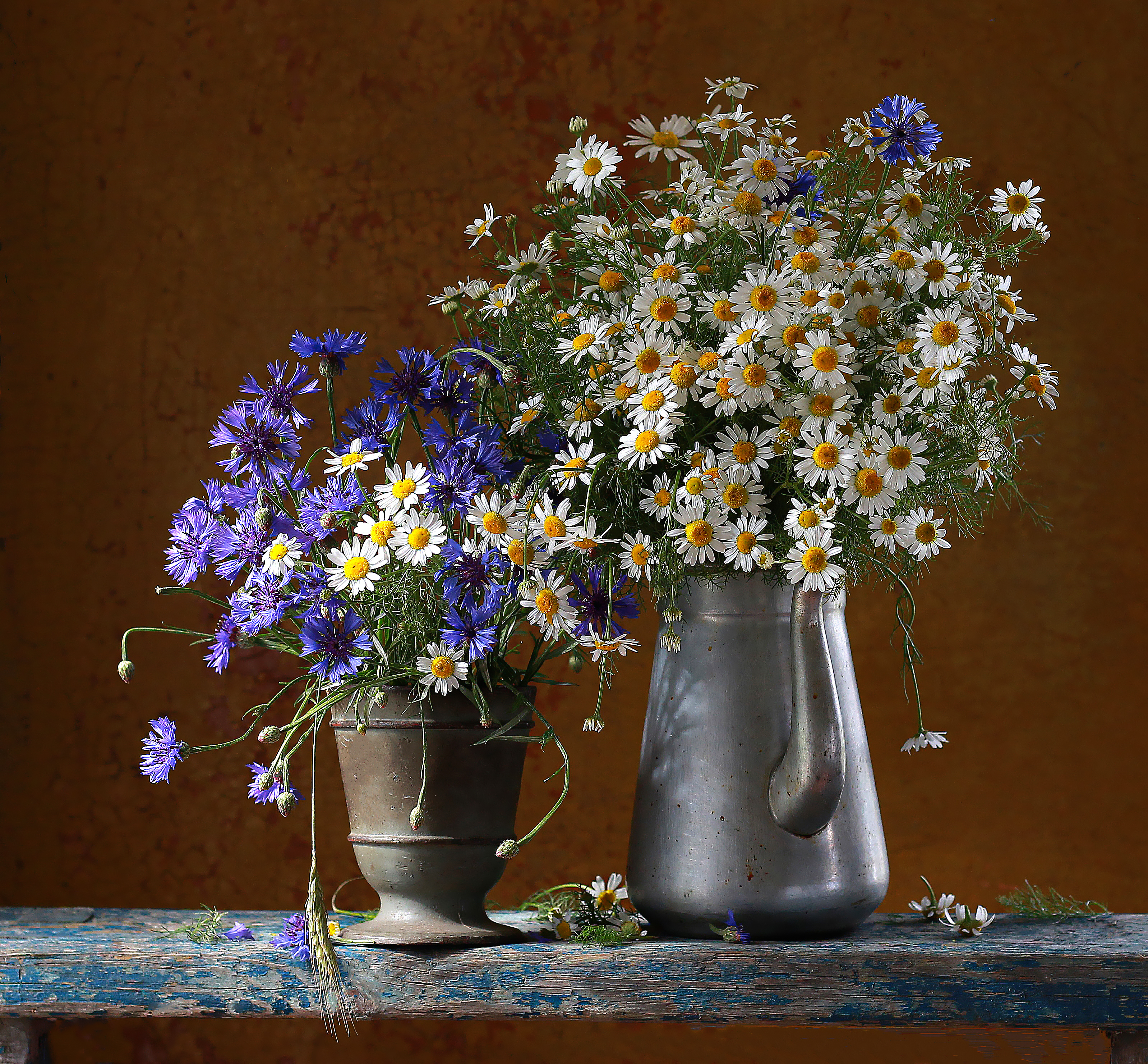 натюрморт, фотонатюрморт, still life, stillifefoto, лето, ромашки, васильки, цветочный_натюрморт, наталья_казанцева, Наталья Казанцева