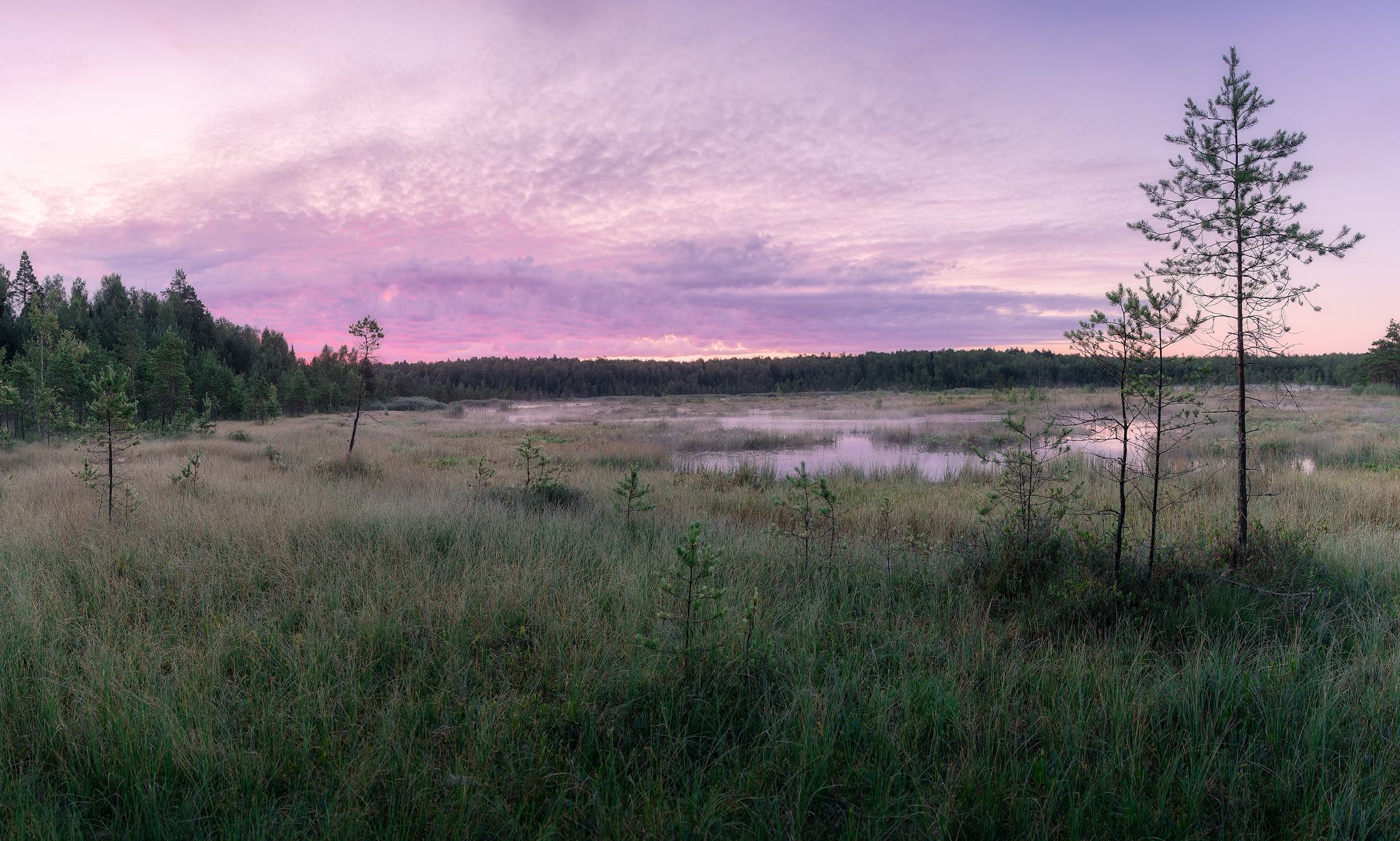 , Загруев Михаил