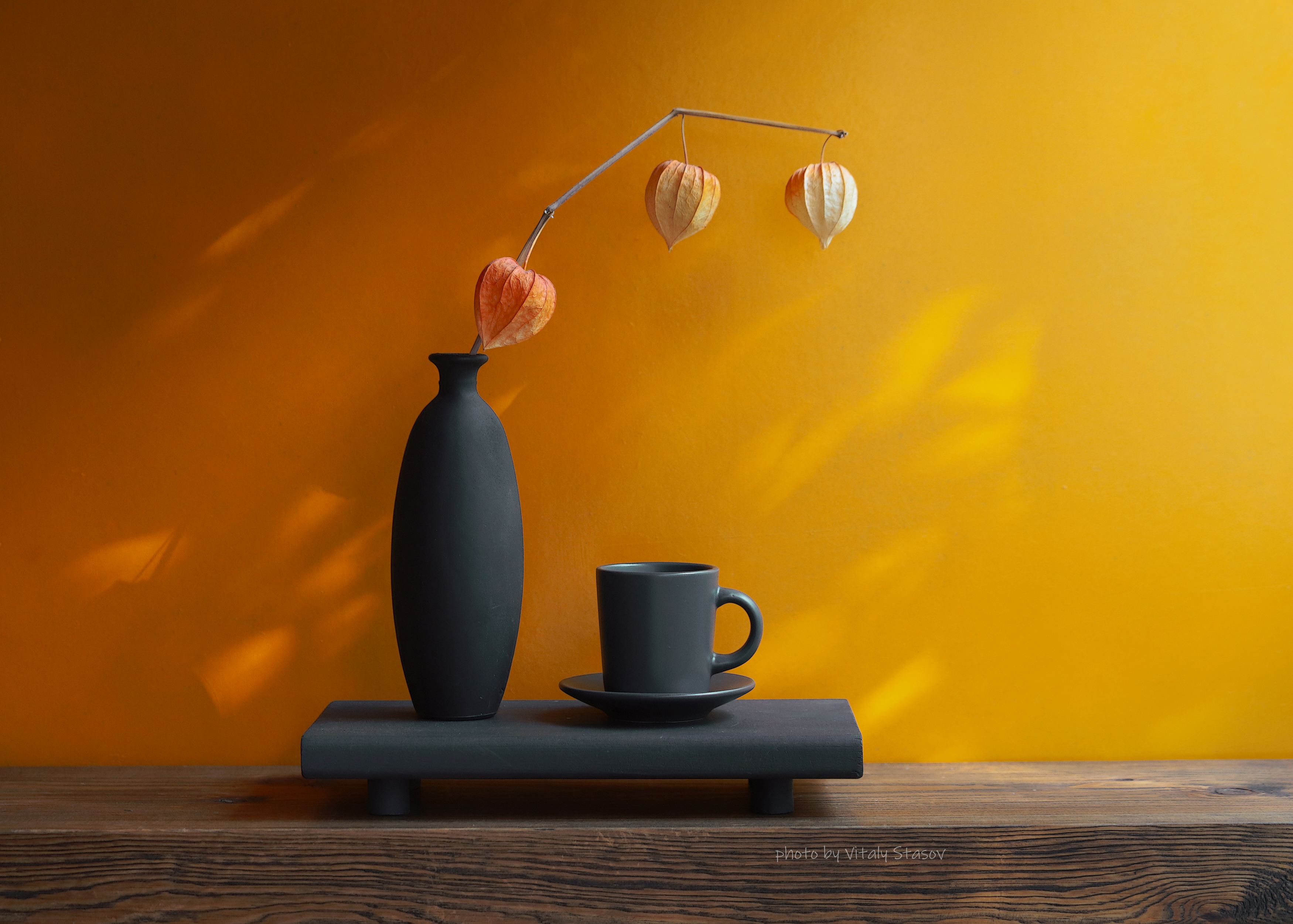 минимализм, физалис, цветной, черно белый, сухоцвет, натюрморт, dried flowers, dried physalis from an empty cup, Стасов Виталий