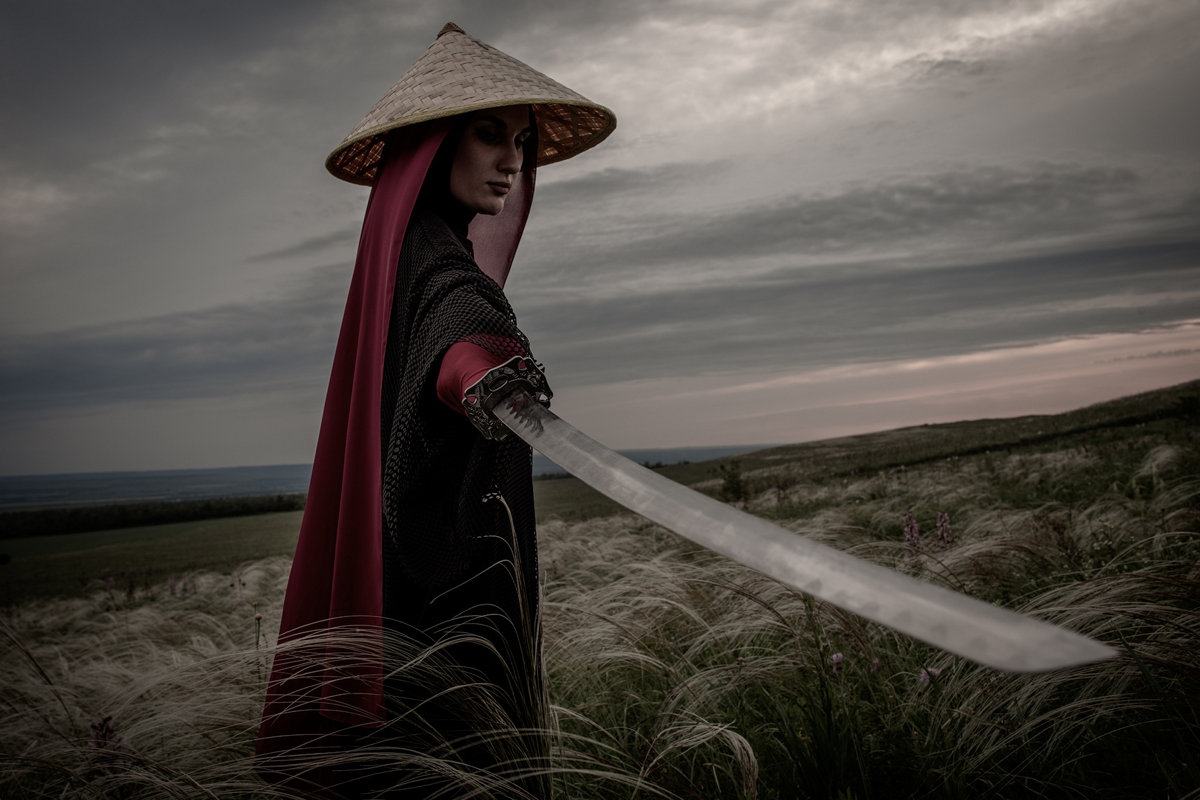 самурай, катана, япония, воин, меч, поле, небо, вечер, закат, Арсен Алабердов