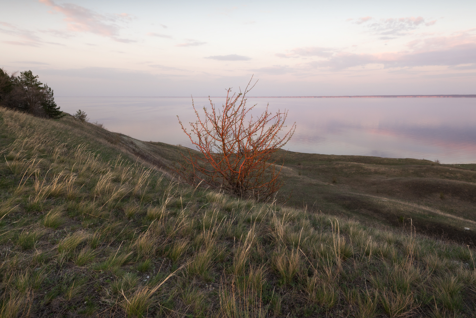 , Алексей Проняхин