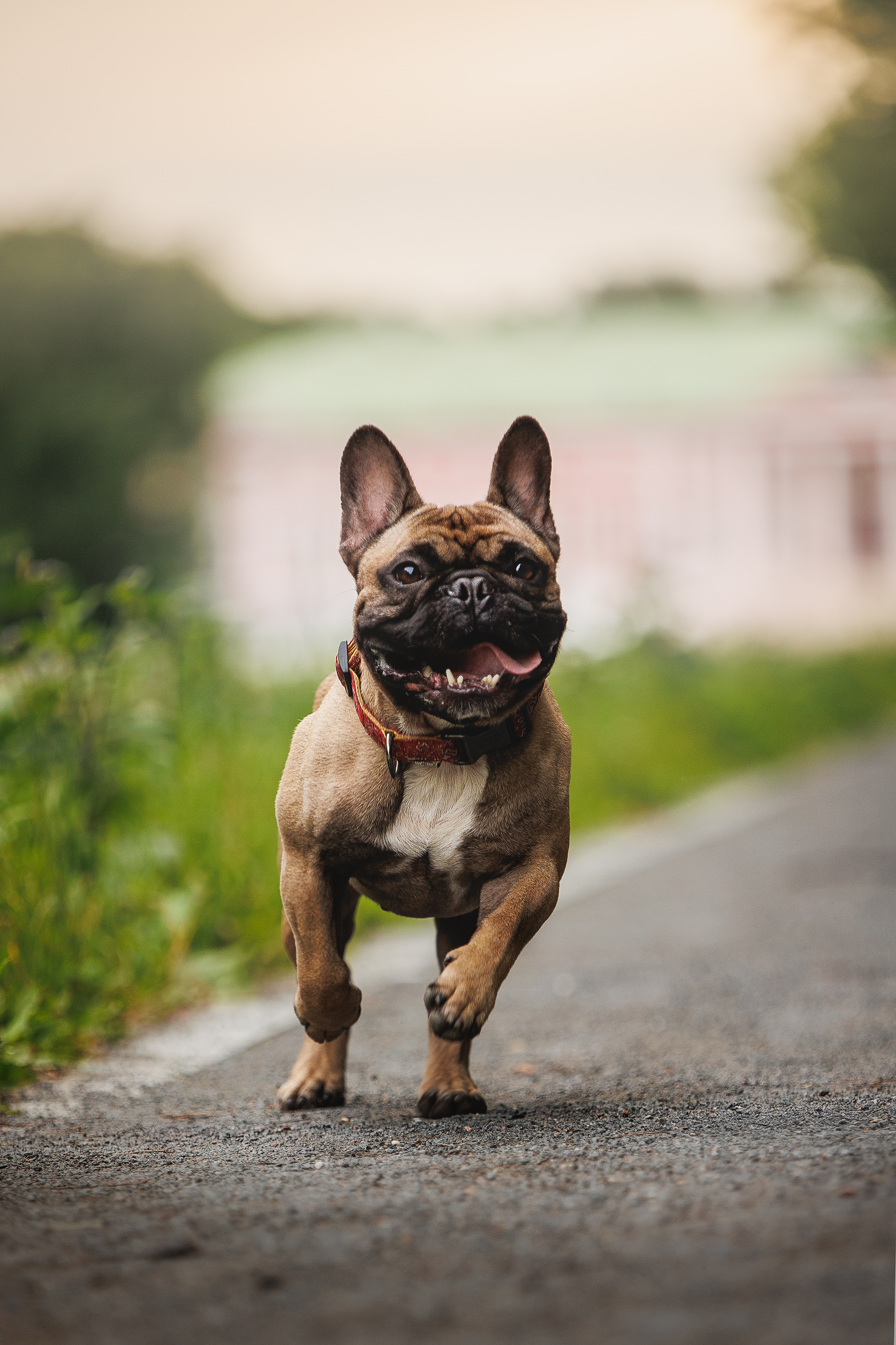 , Елена Самусенкова