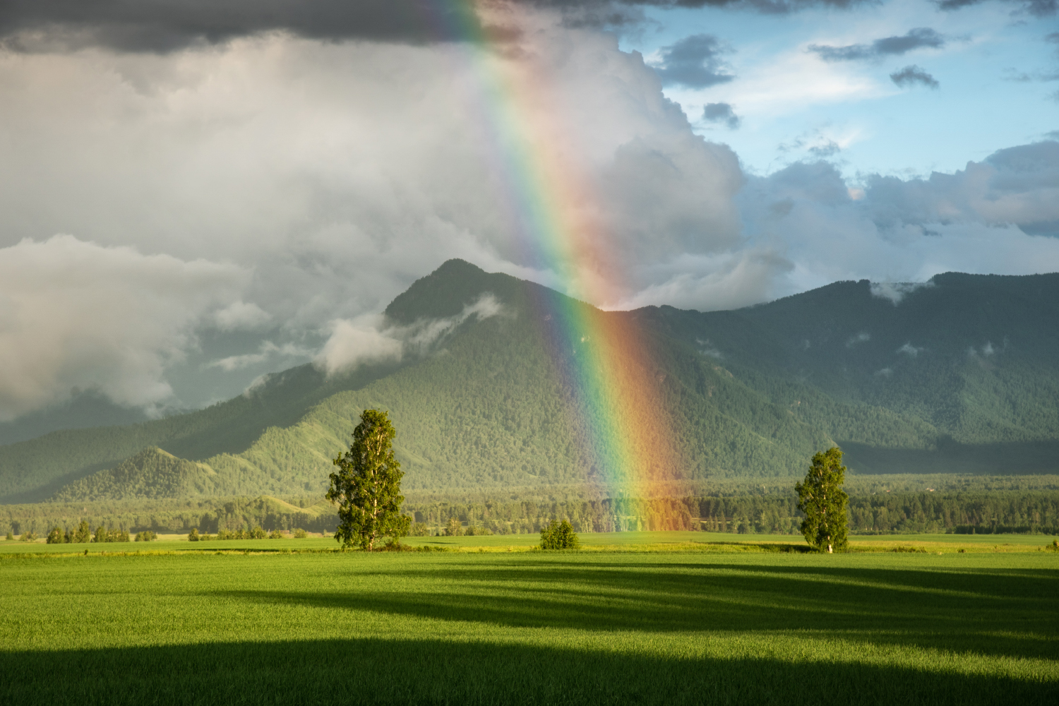 алтай, горный алтай, пейзажи алтая, усть-коксинский район, горы, летний алтай, уймонская долина, мульта, филаретка, филаретова гора, гора, радуга, уймонская степь, Рубан Елена