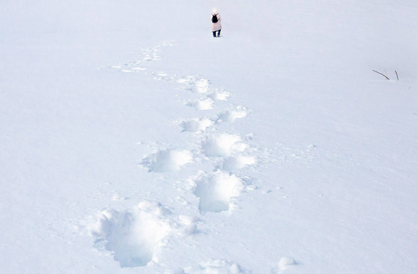 зима, снег, мороз, следы, Виктор Климкин