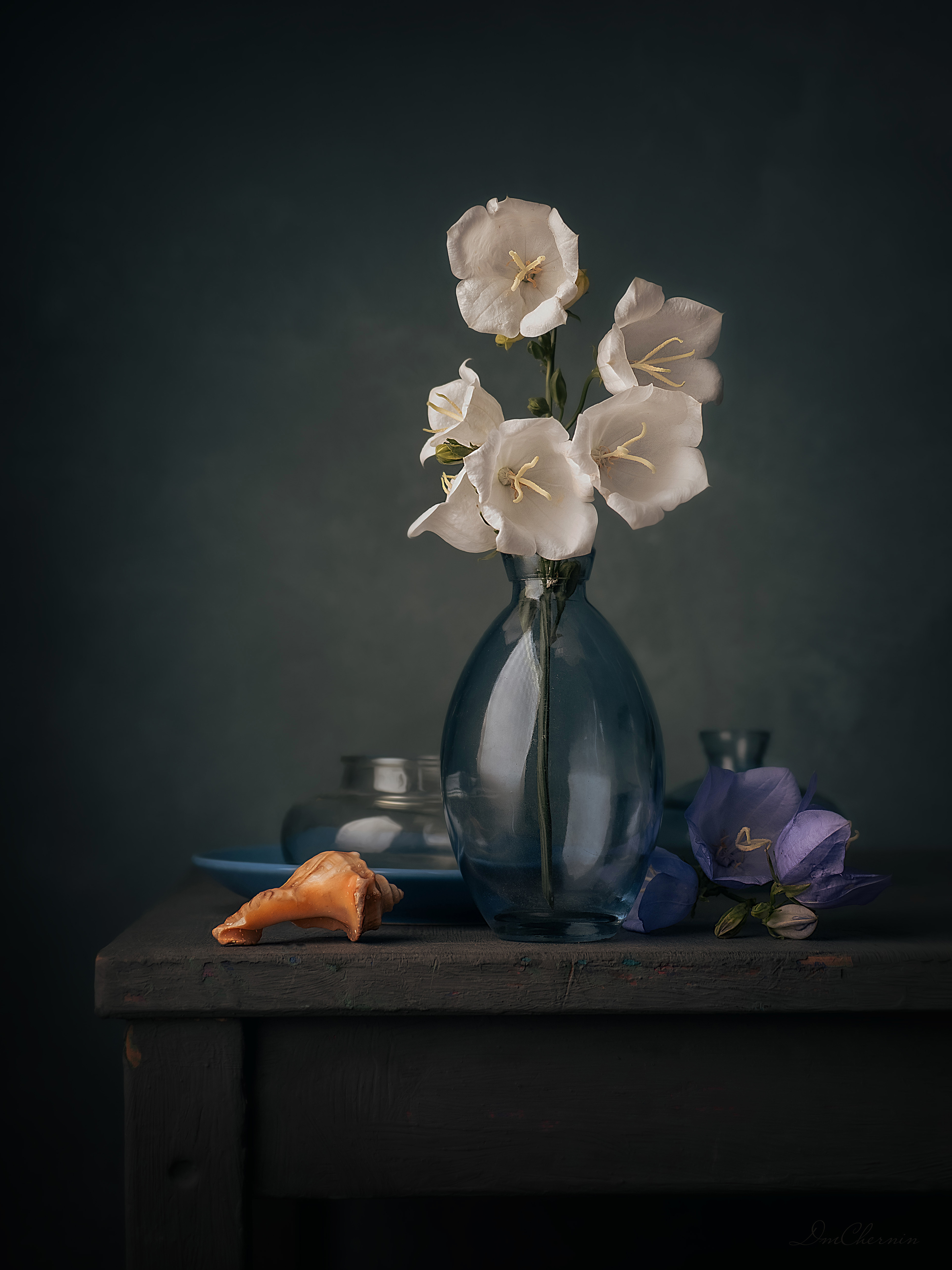 , Чернин Дмитрий