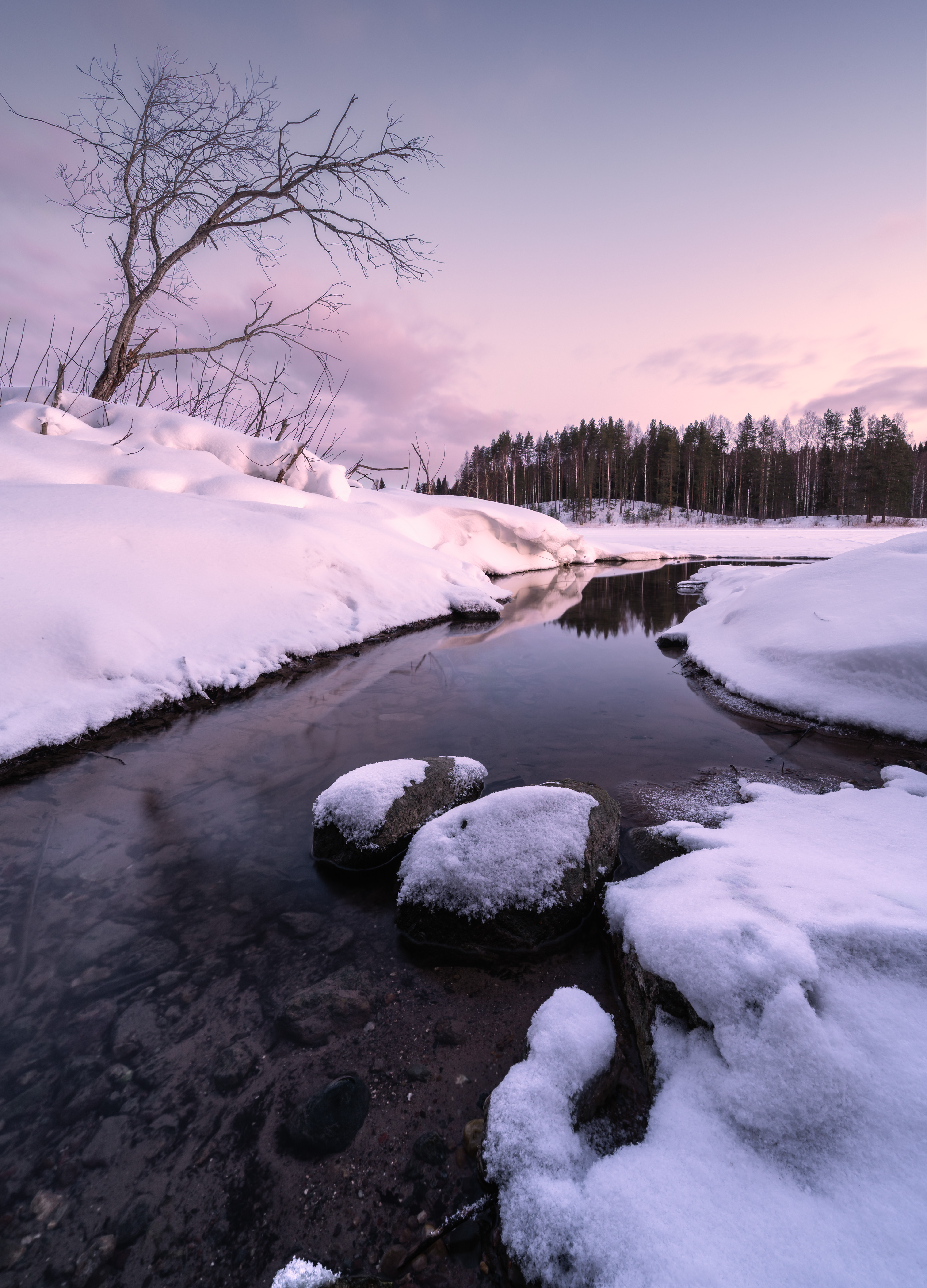 , Алексей Турчин