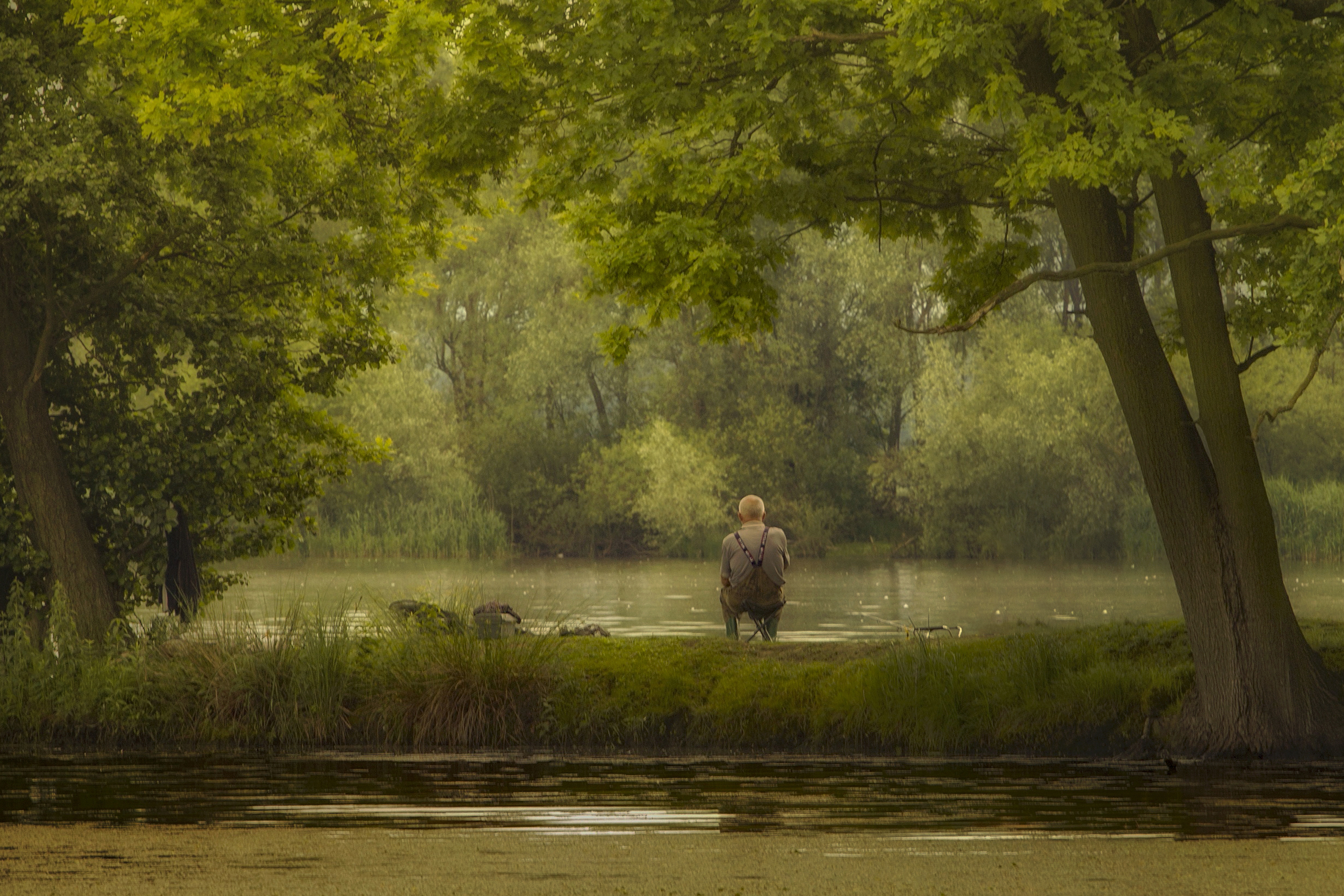 Photography, Tree, Water, Forest, Landscape, Day, Nature, Damian Cyfka