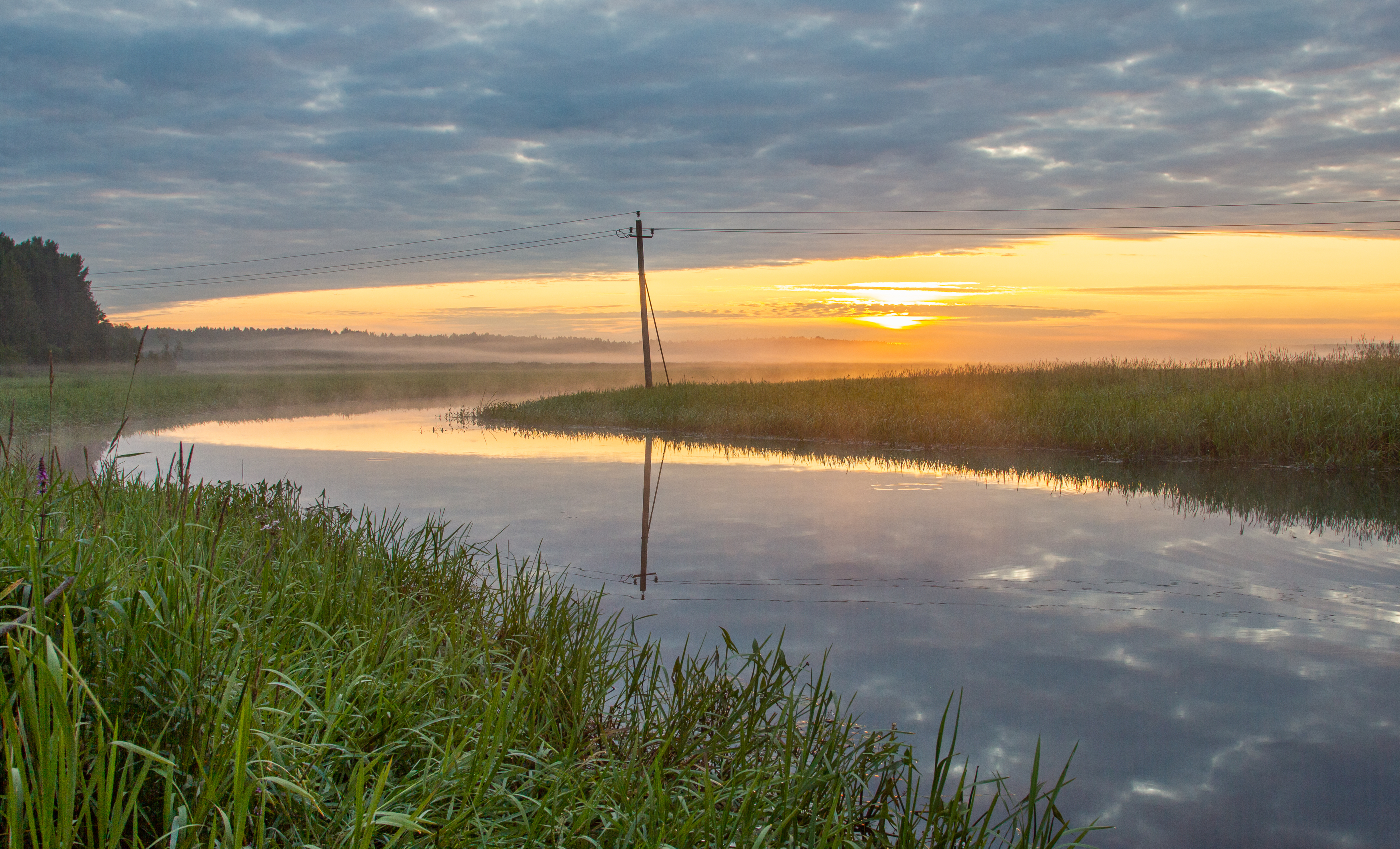 , Комарова Вера