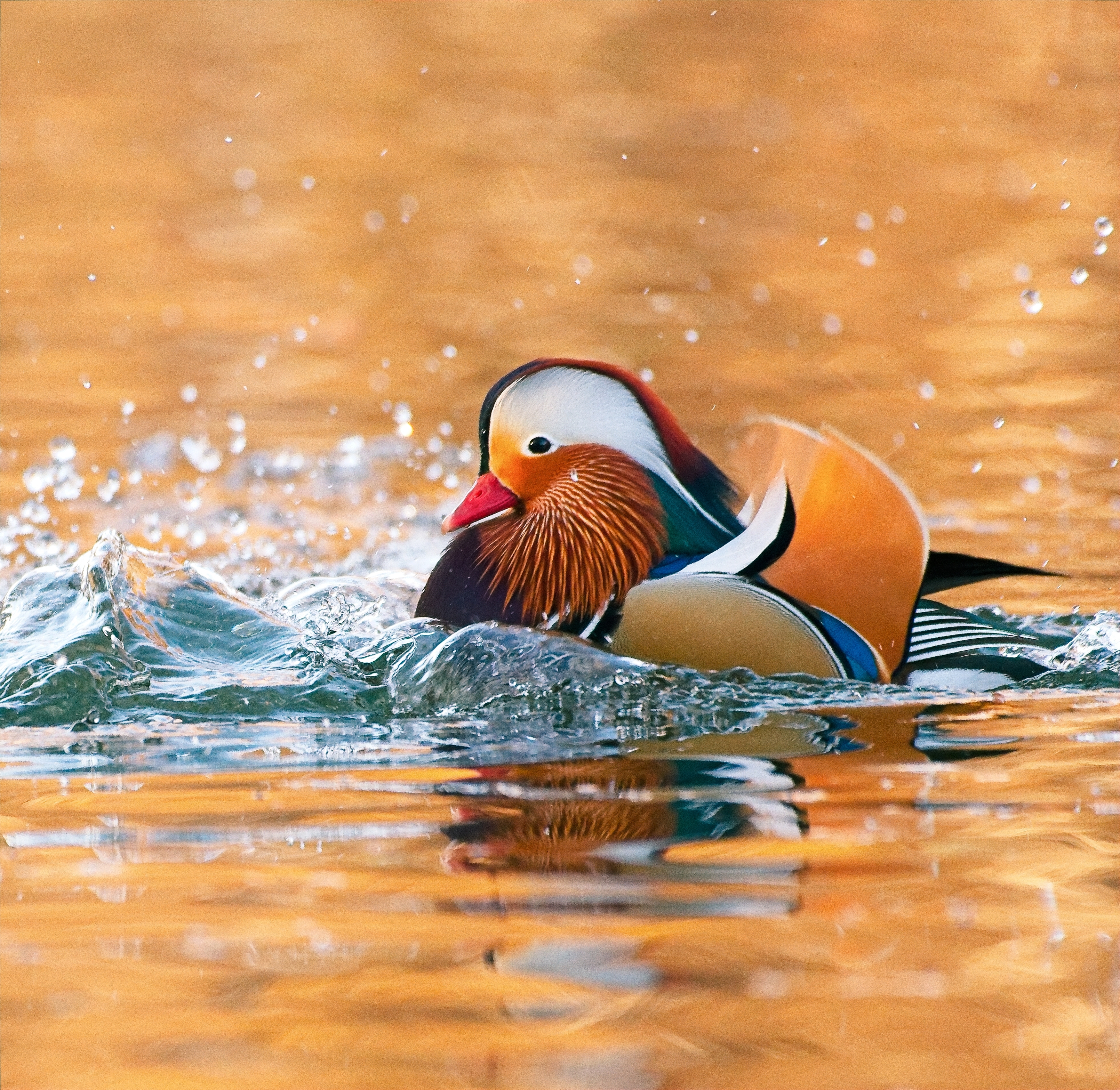 , Фото Александр