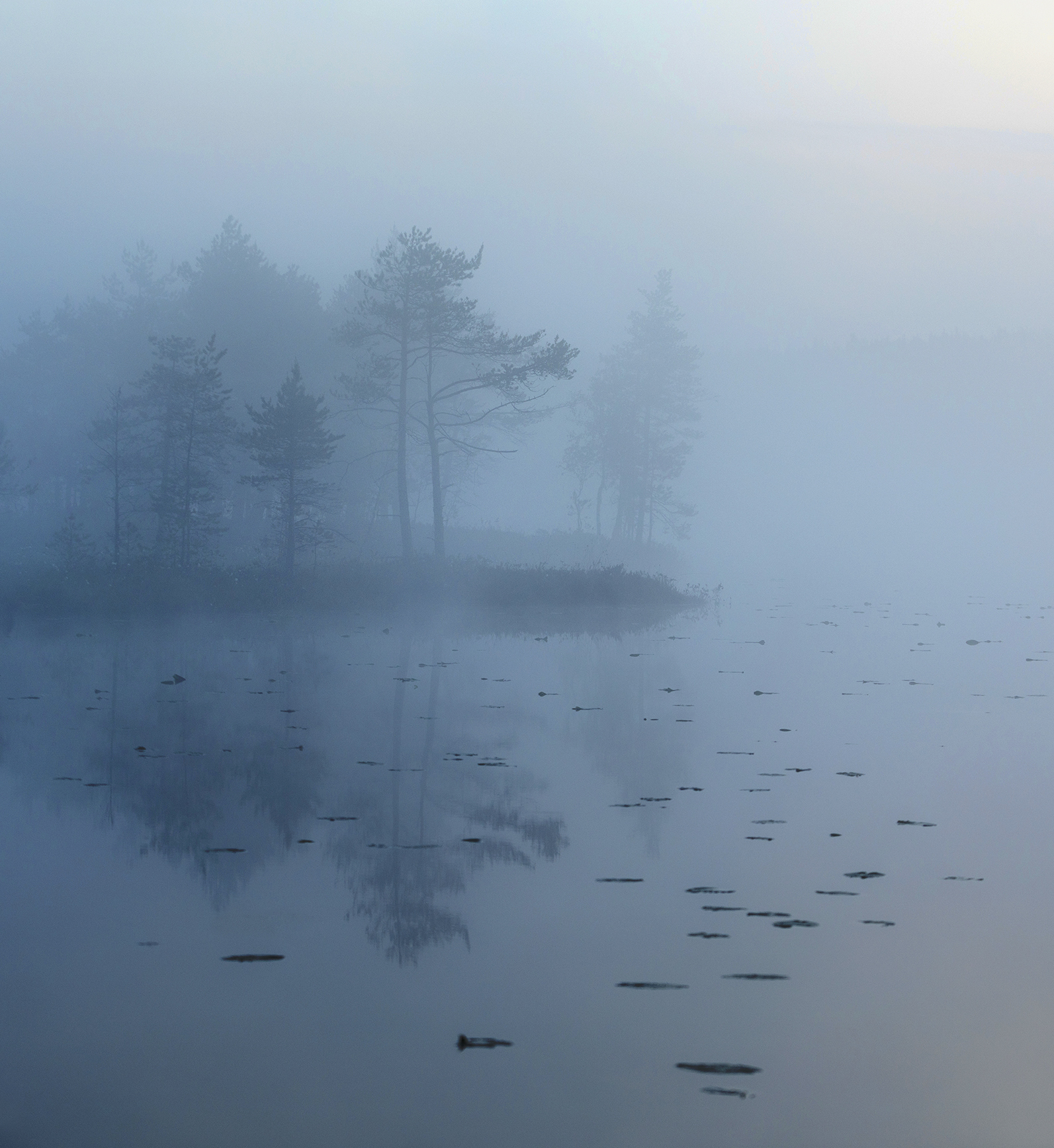 болото, карелия, туман, утро, рассвет, фототур, Павел Ващенков