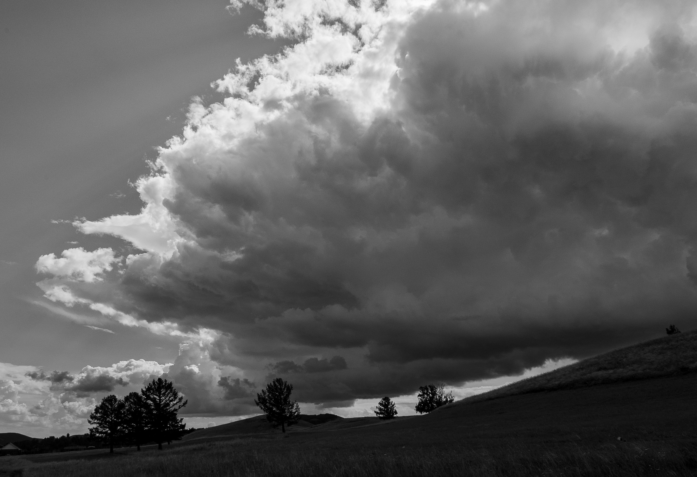 , Шустиков Дмитрий