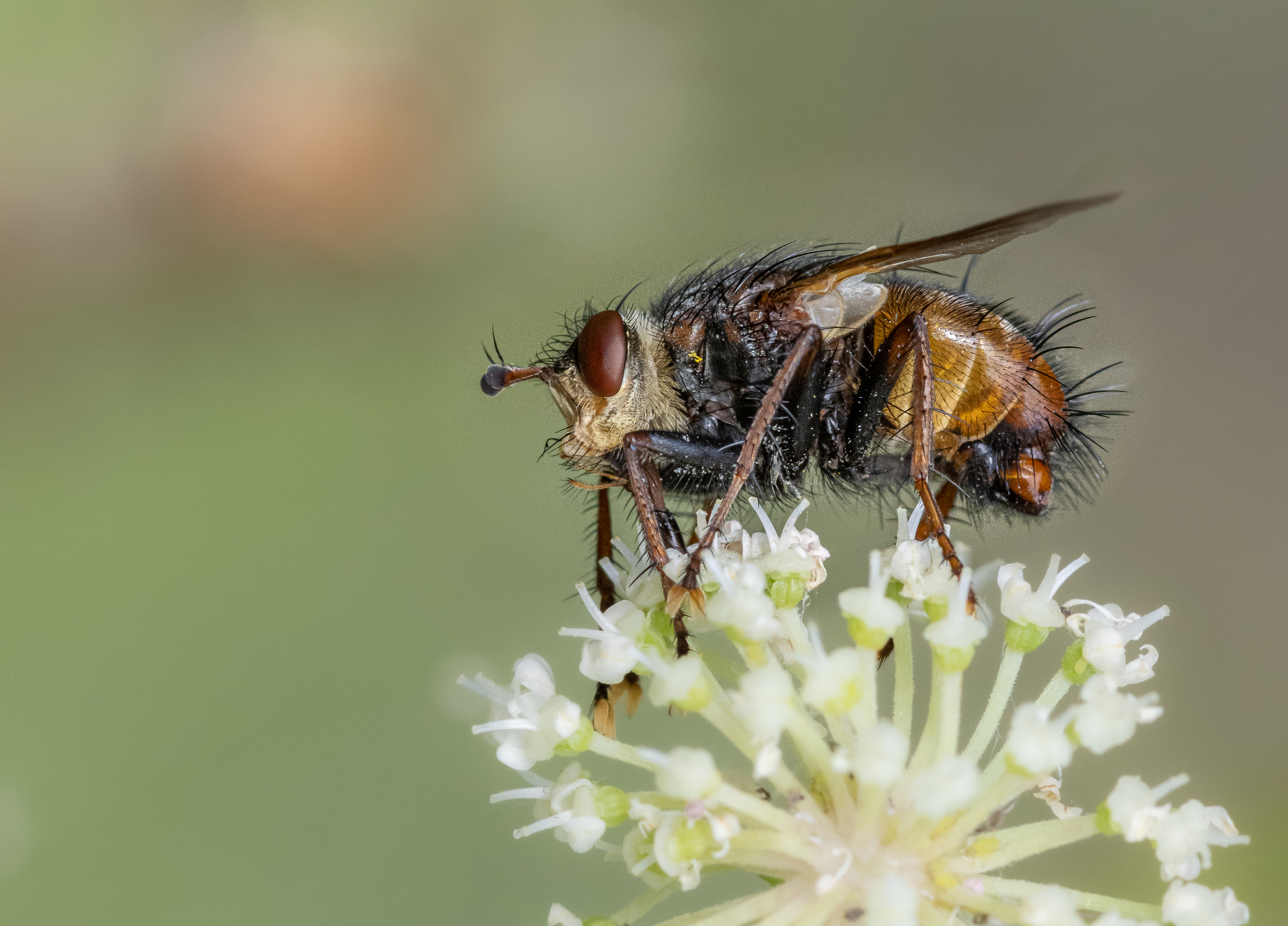 , Лапин Сергей