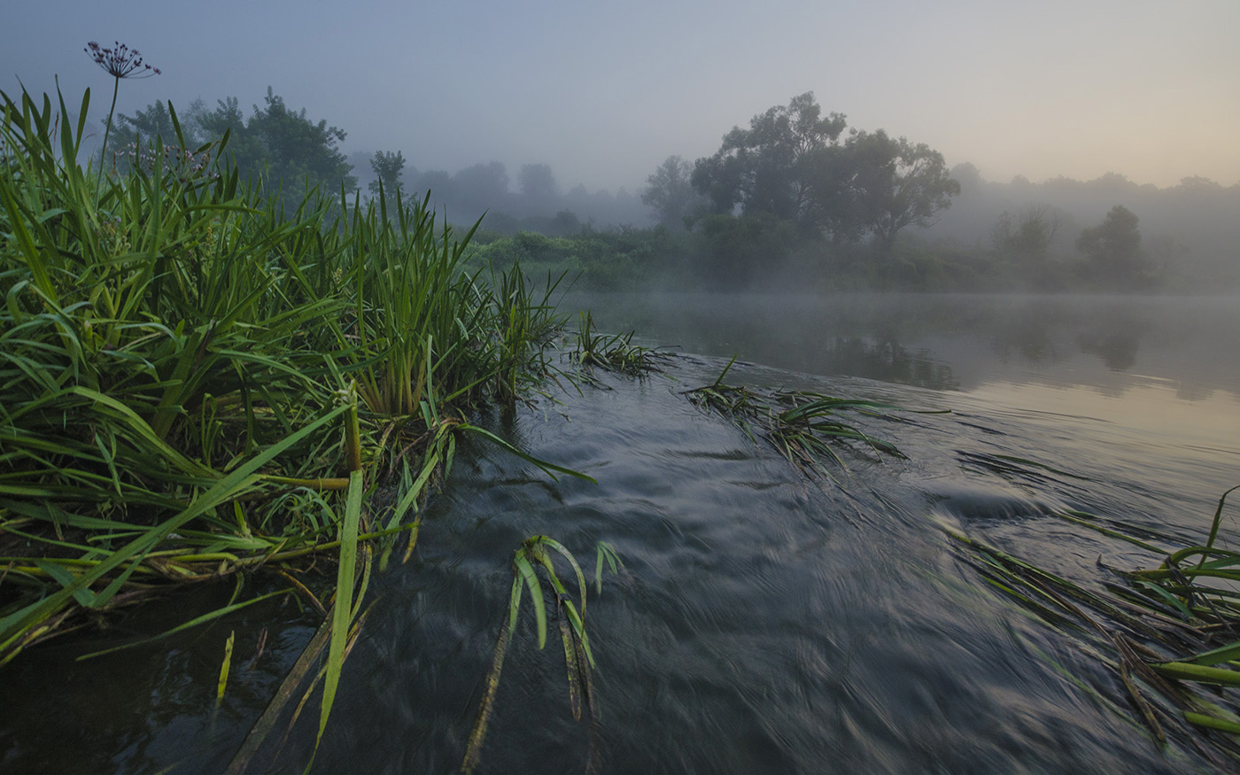 лето, якшино, река, упа, Михаил Агеев