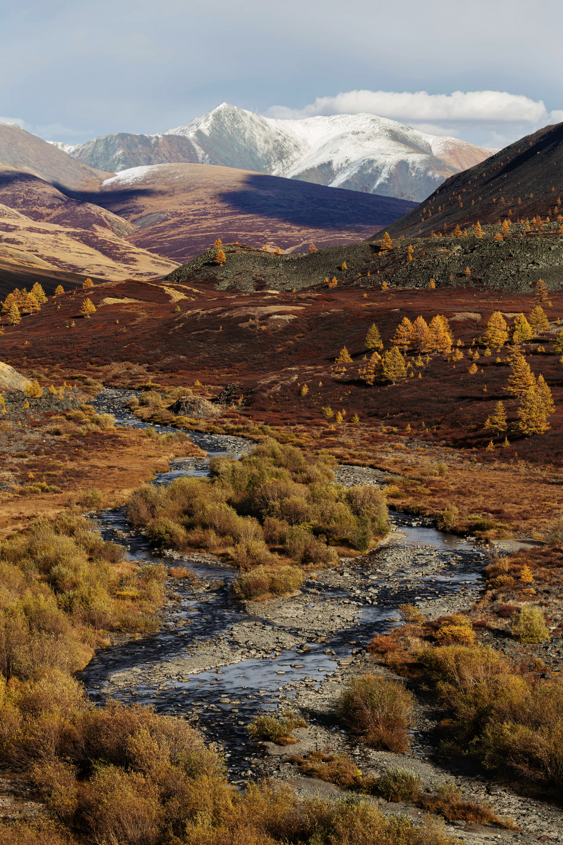 Алтай, Россия, горы, altay, russia, mountains, Mikhail Konarev