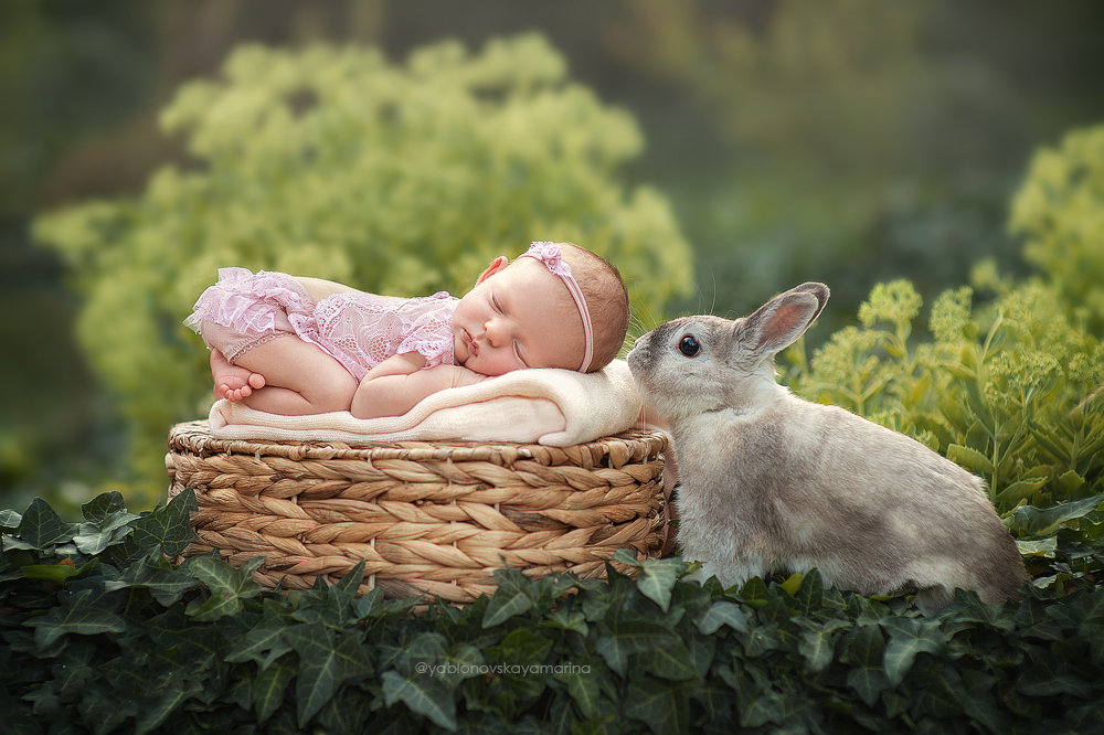 , Яблоновская Марина