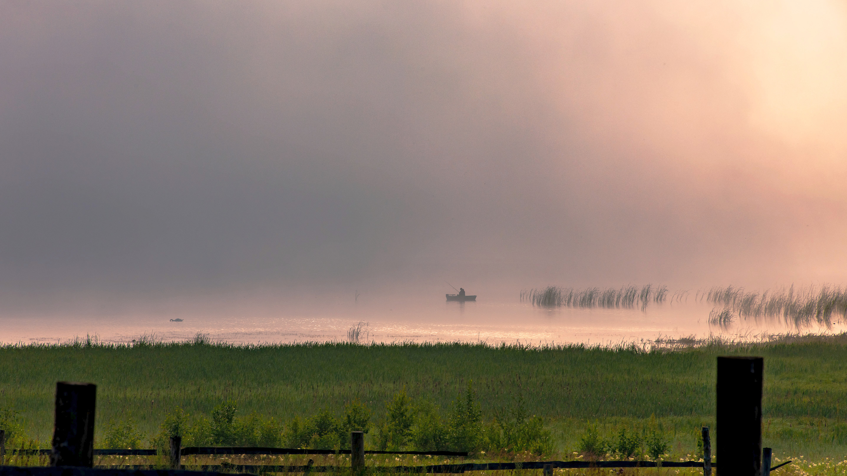 , Шустиков Дмитрий