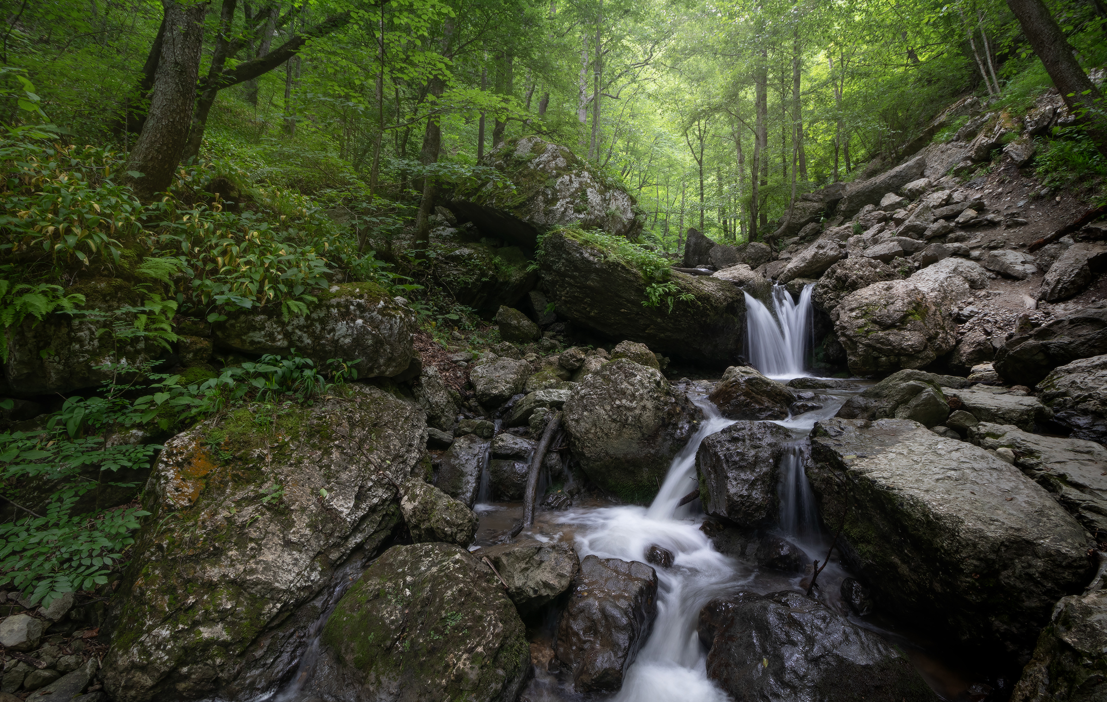 , Михаил Гапонов
