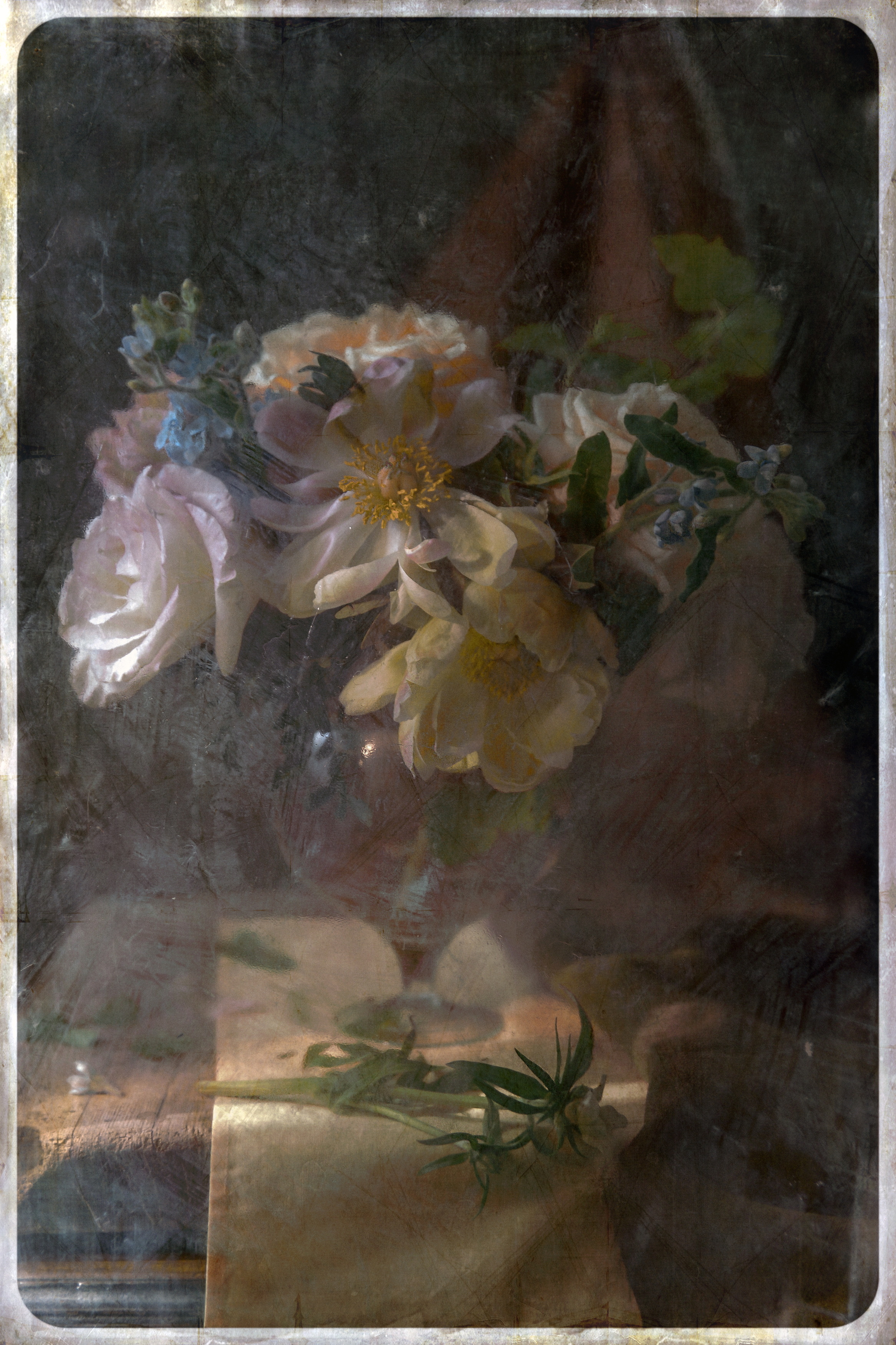 , Сушкевич Светлана