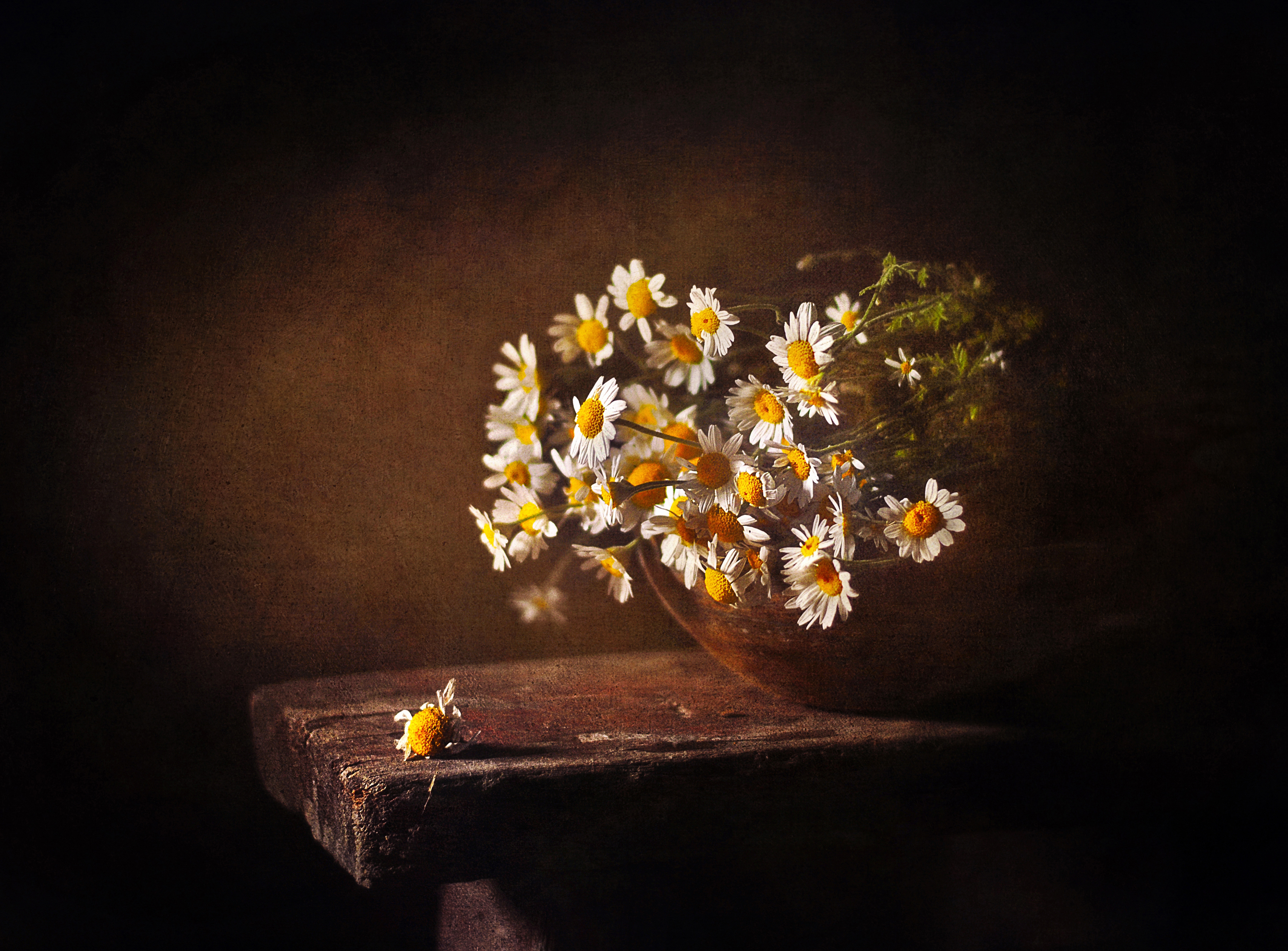 натюрморт, ромашки, лето, цветы, still life, Буглак Инна