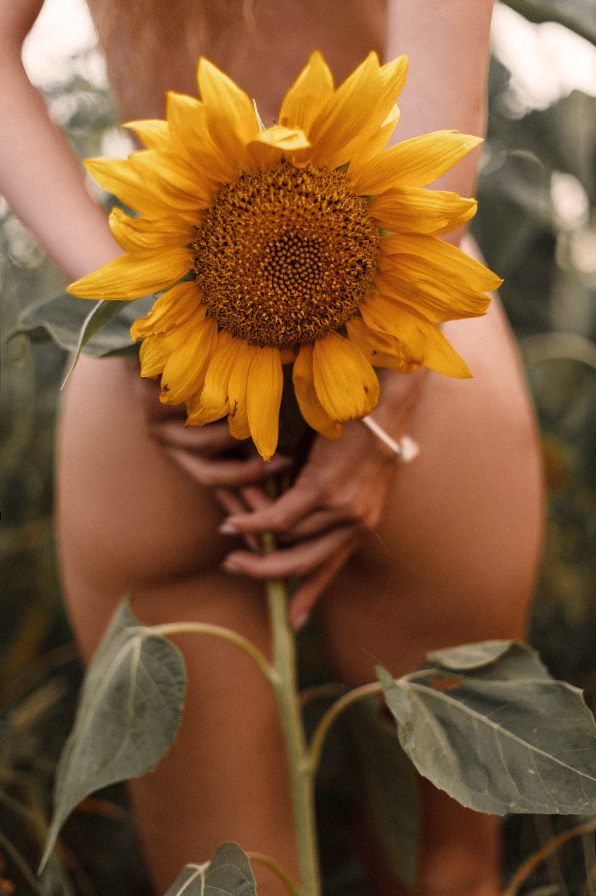 , Евгений Линев